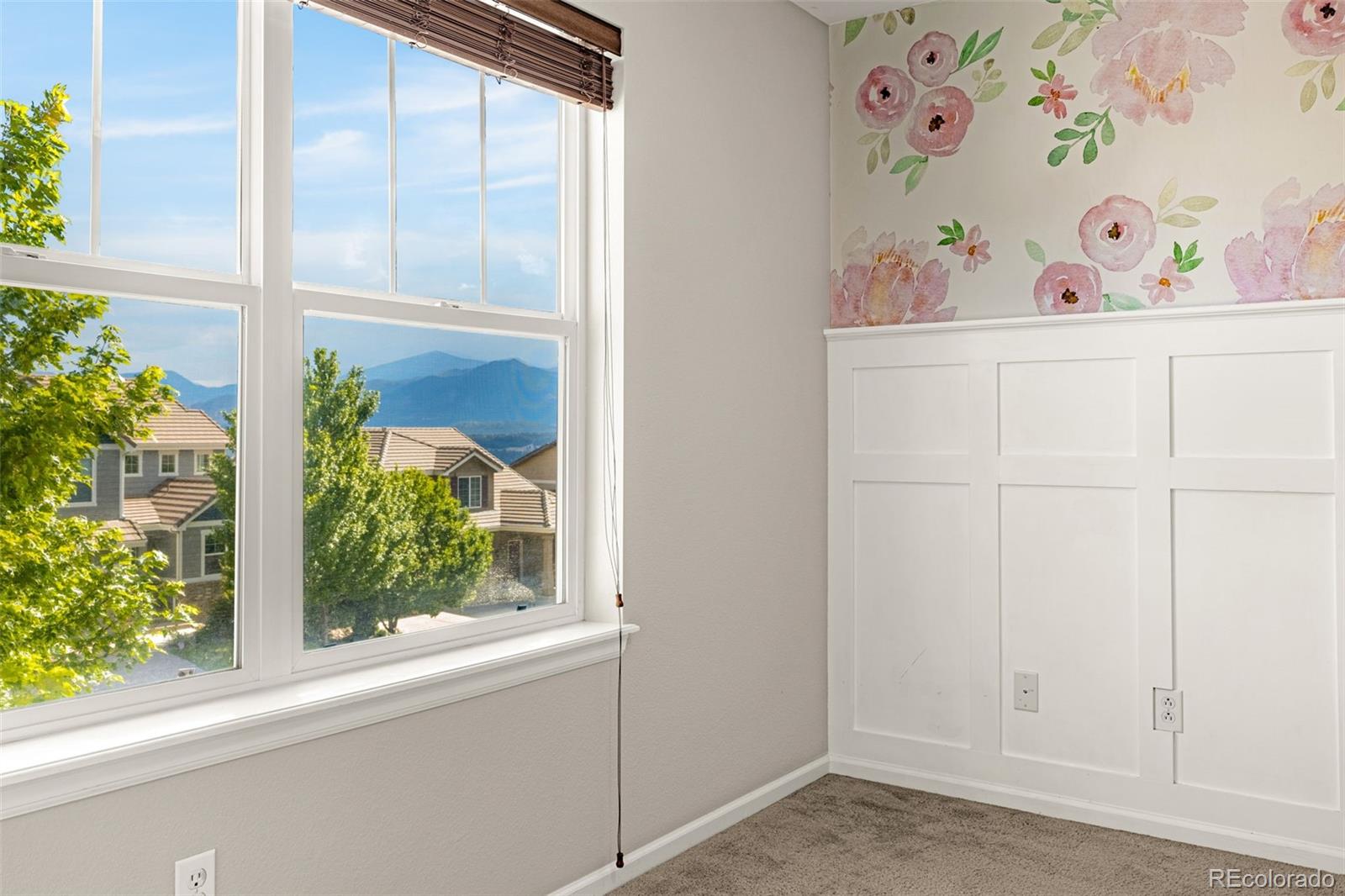 MLS Image #29 for 1425  diamond rim drive,colorado springs, Colorado