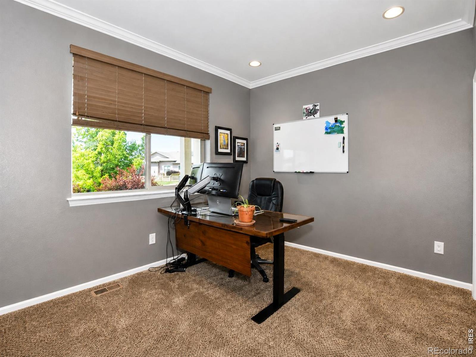 MLS Image #20 for 6580  snow bank drive,timnath, Colorado