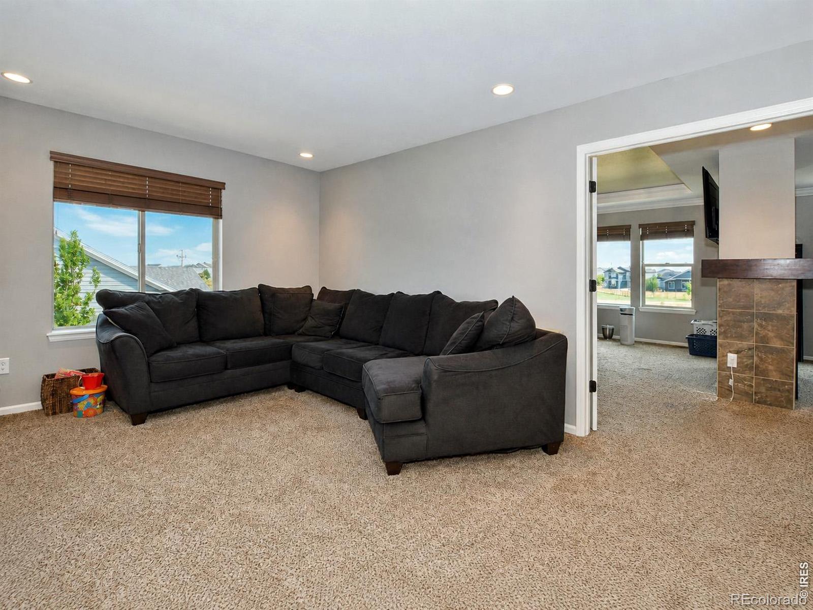 MLS Image #22 for 6580  snow bank drive,timnath, Colorado