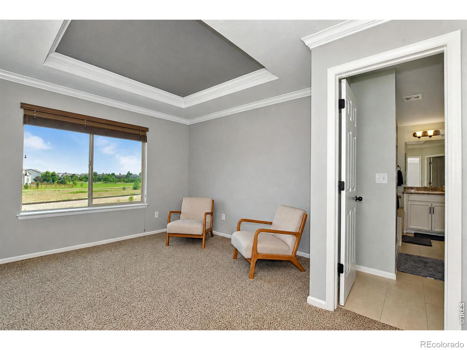 MLS Image #25 for 6580  snow bank drive,timnath, Colorado