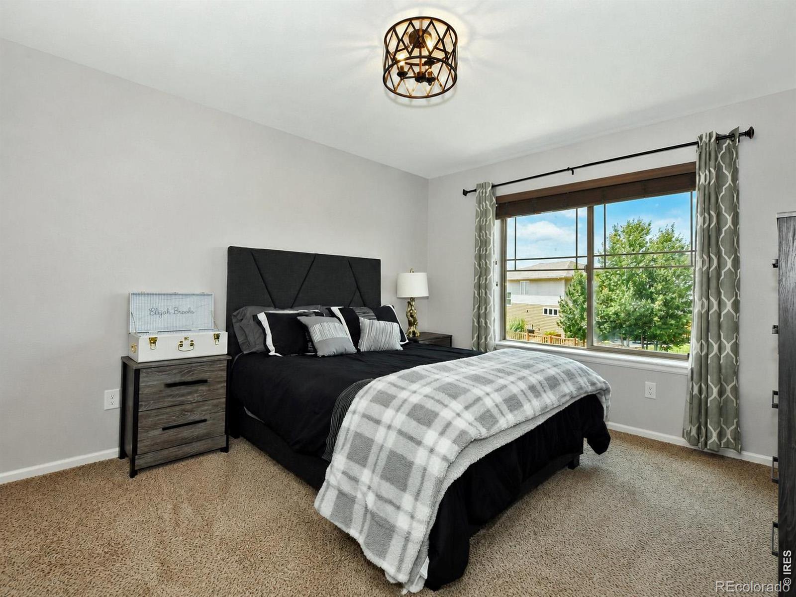 MLS Image #29 for 6580  snow bank drive,timnath, Colorado