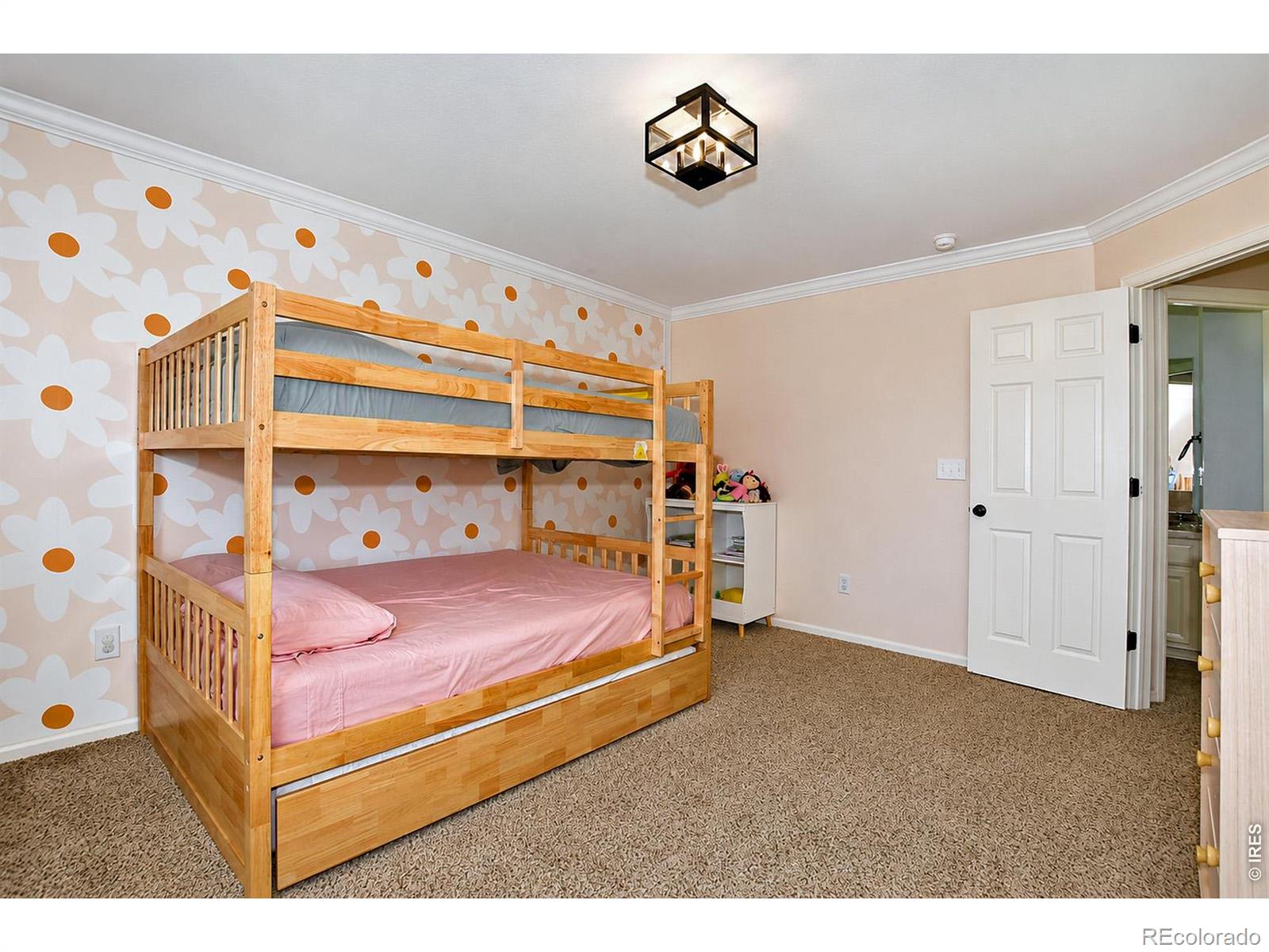 MLS Image #34 for 6580  snow bank drive,timnath, Colorado