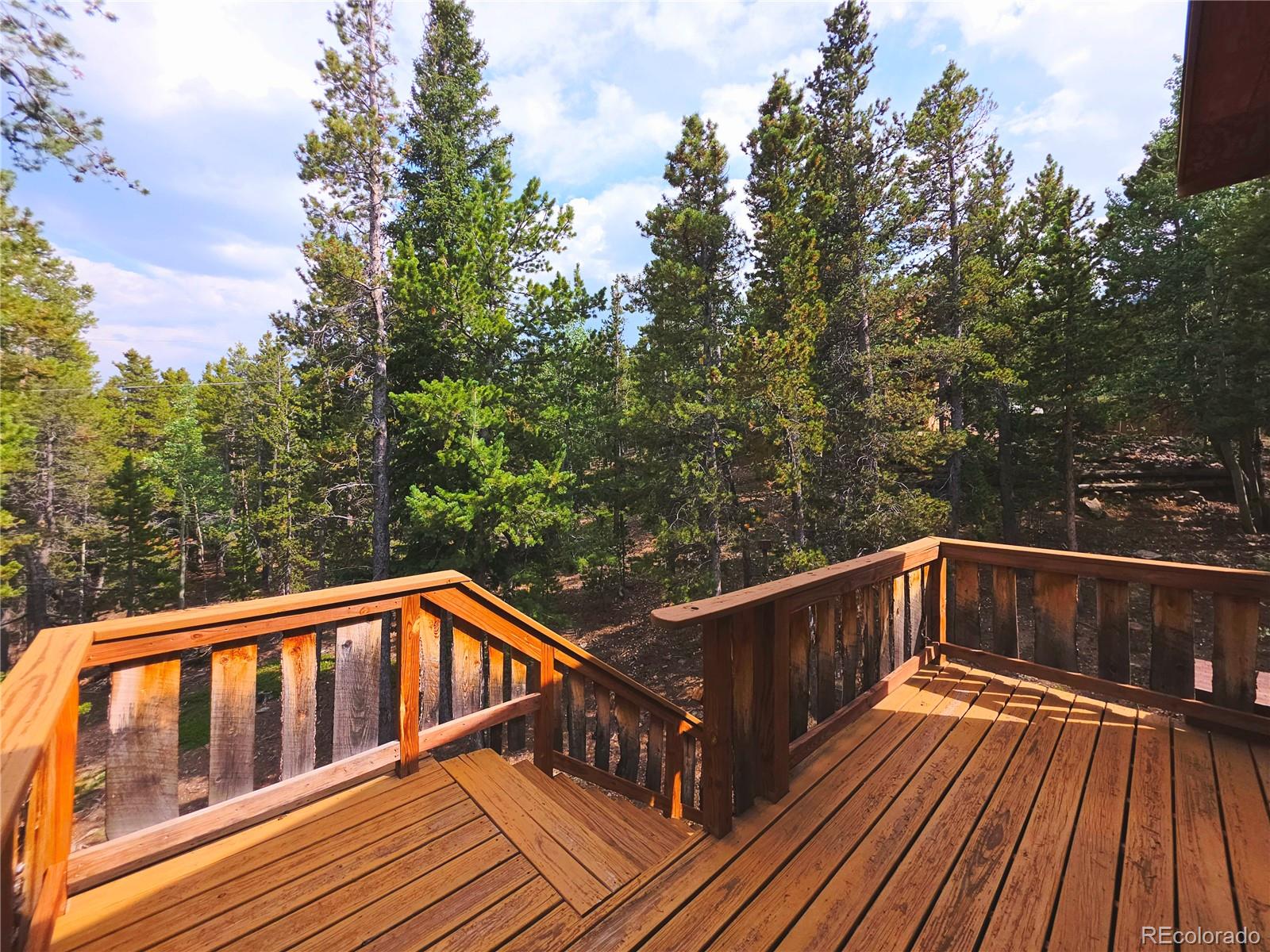 MLS Image #10 for 10  lost trail road,idaho springs, Colorado