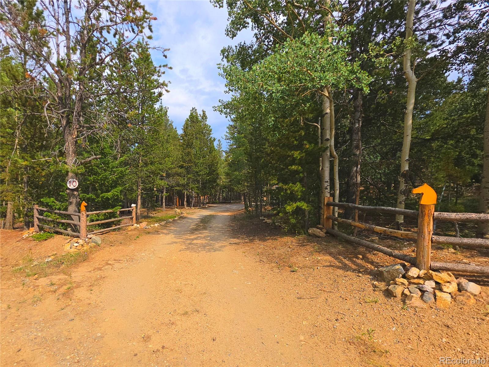 MLS Image #8 for 10  lost trail road,idaho springs, Colorado