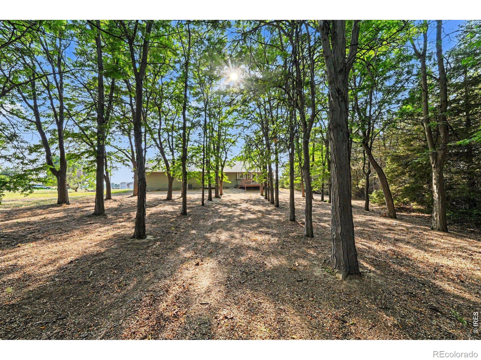 MLS Image #40 for 6621  county road 84 ,fort collins, Colorado