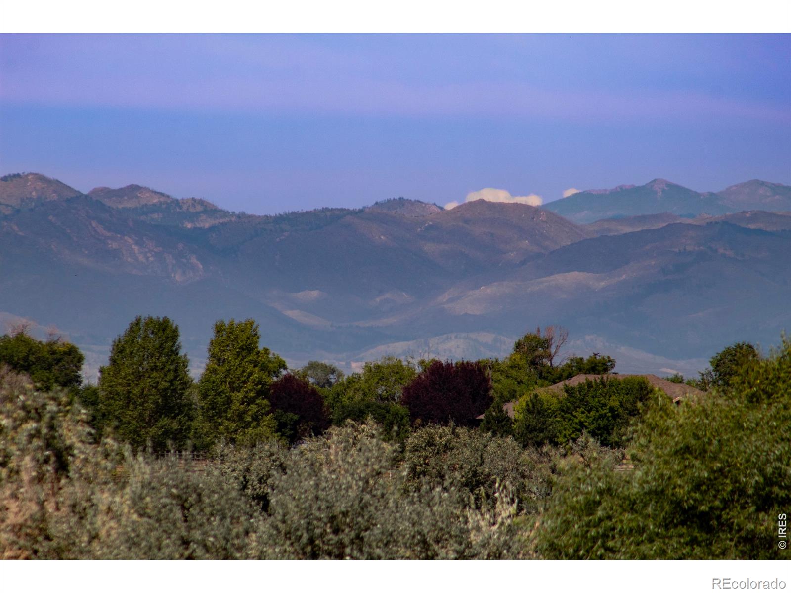 MLS Image #5 for 6621  county road 84 ,fort collins, Colorado