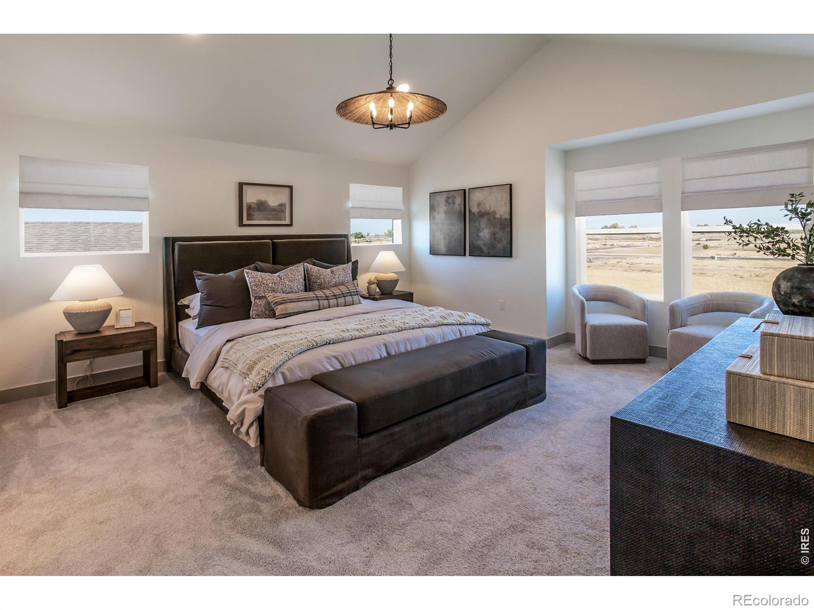 MLS Image #18 for 5349  blainville street,timnath, Colorado