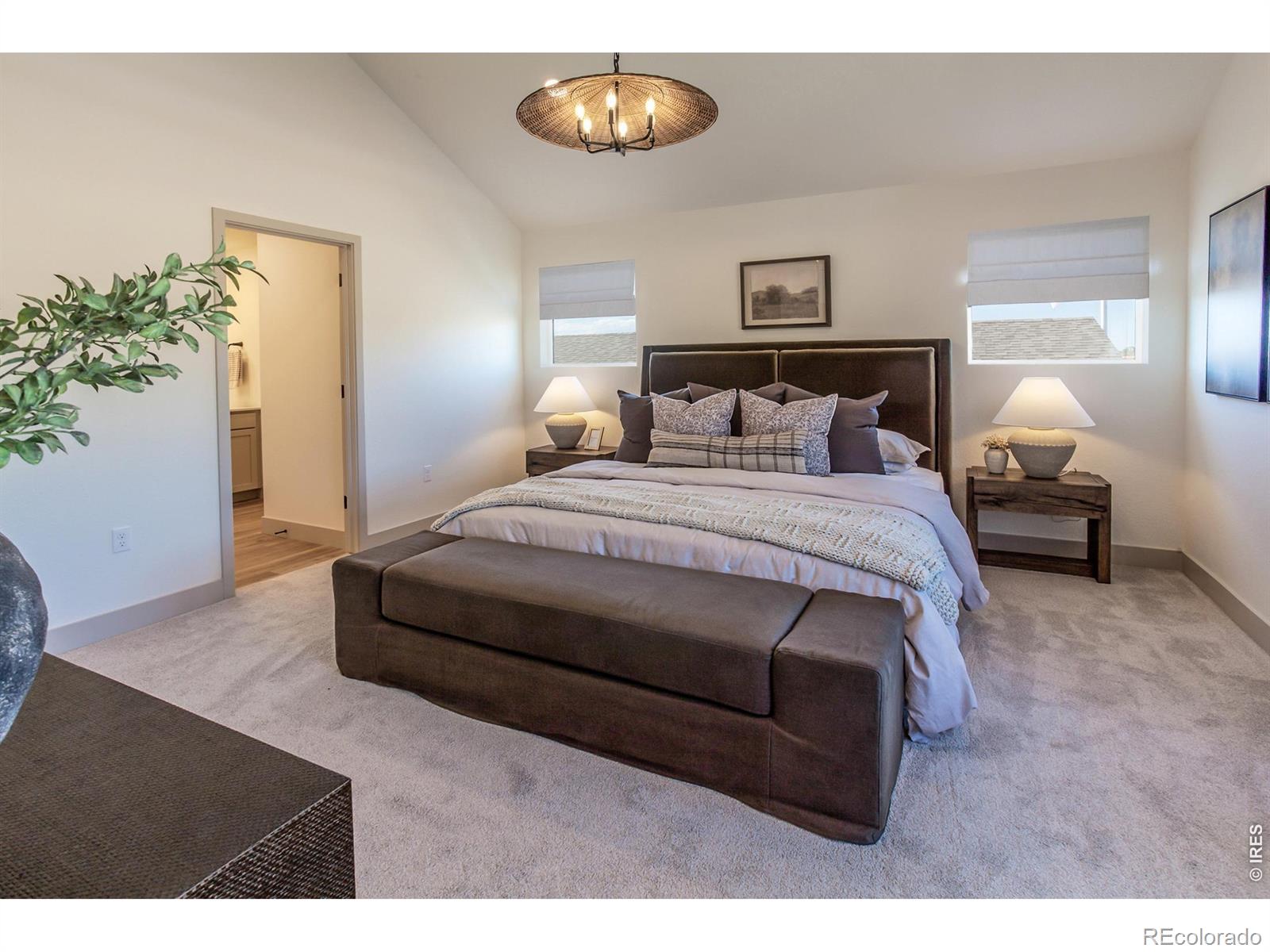 MLS Image #19 for 5349  blainville street,timnath, Colorado
