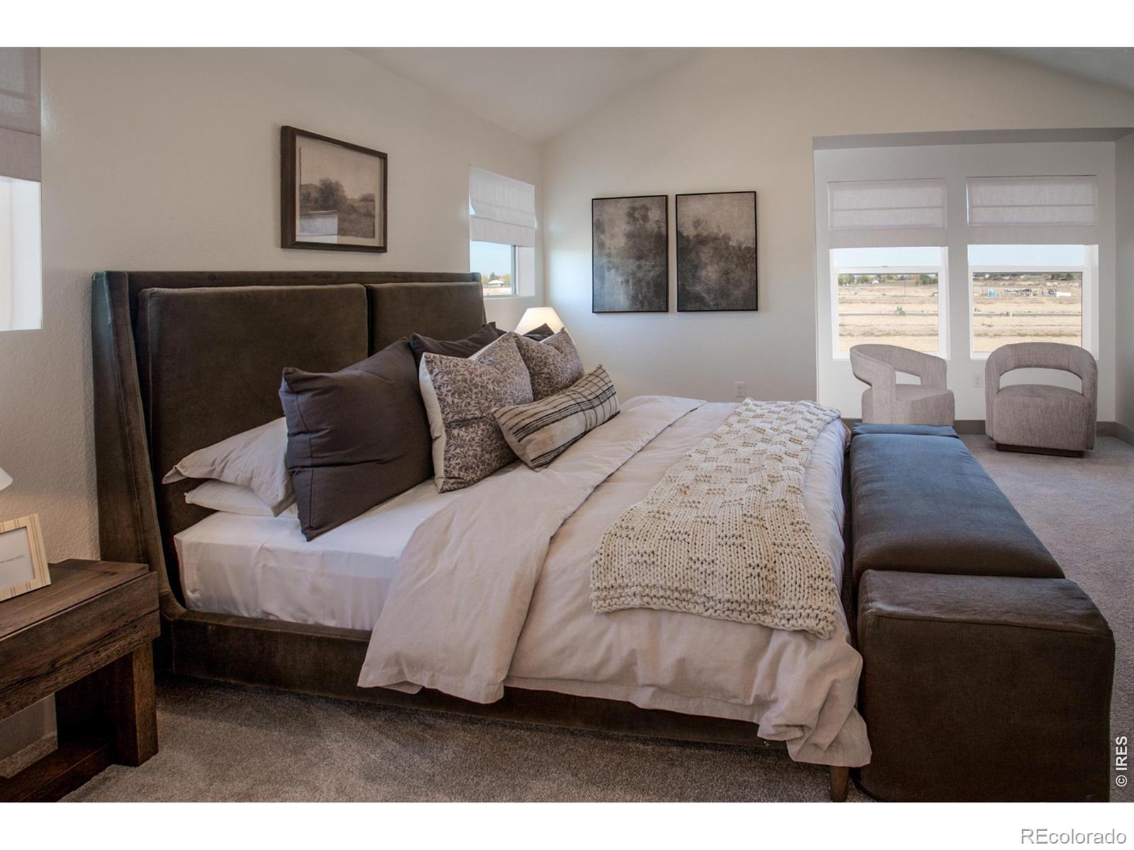 MLS Image #20 for 5349  blainville street,timnath, Colorado