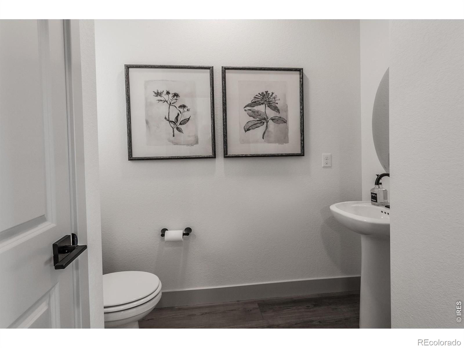 MLS Image #3 for 5349  blainville street,timnath, Colorado