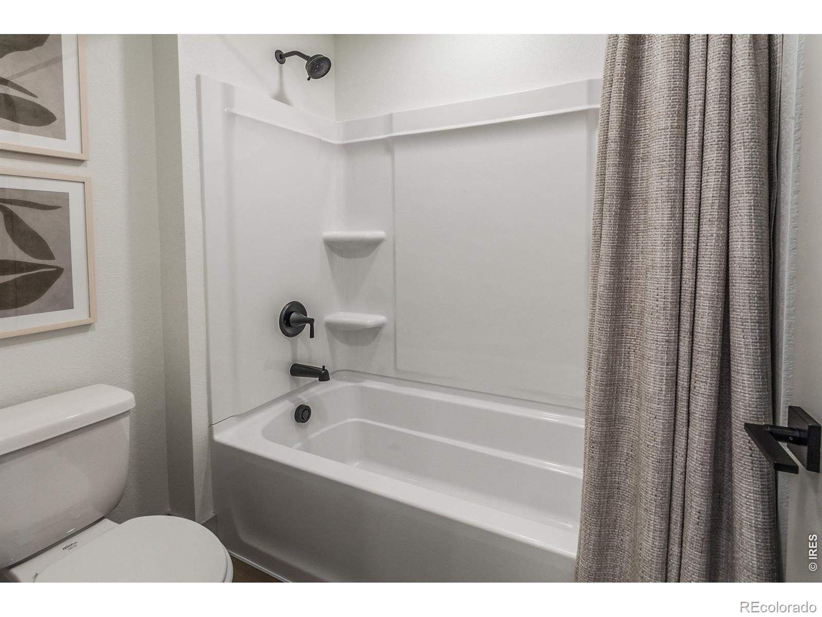 MLS Image #30 for 5349  blainville street,timnath, Colorado
