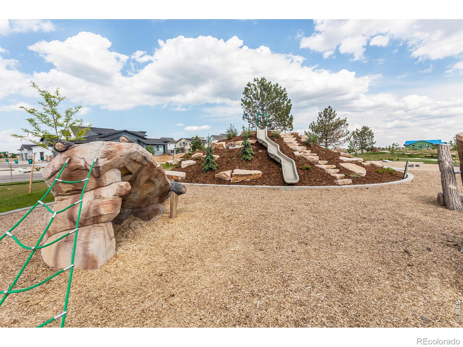 MLS Image #37 for 5349  blainville street,timnath, Colorado