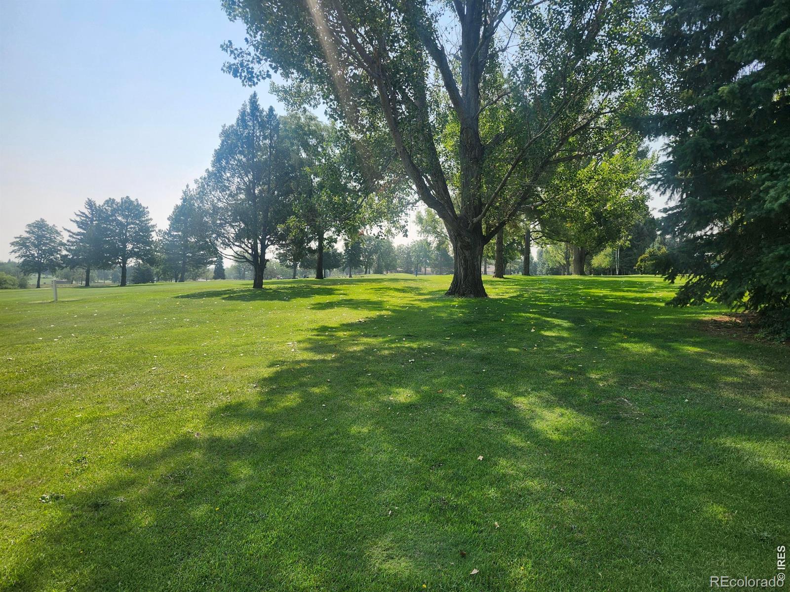 MLS Image #5 for 3142  glendevey drive,loveland, Colorado