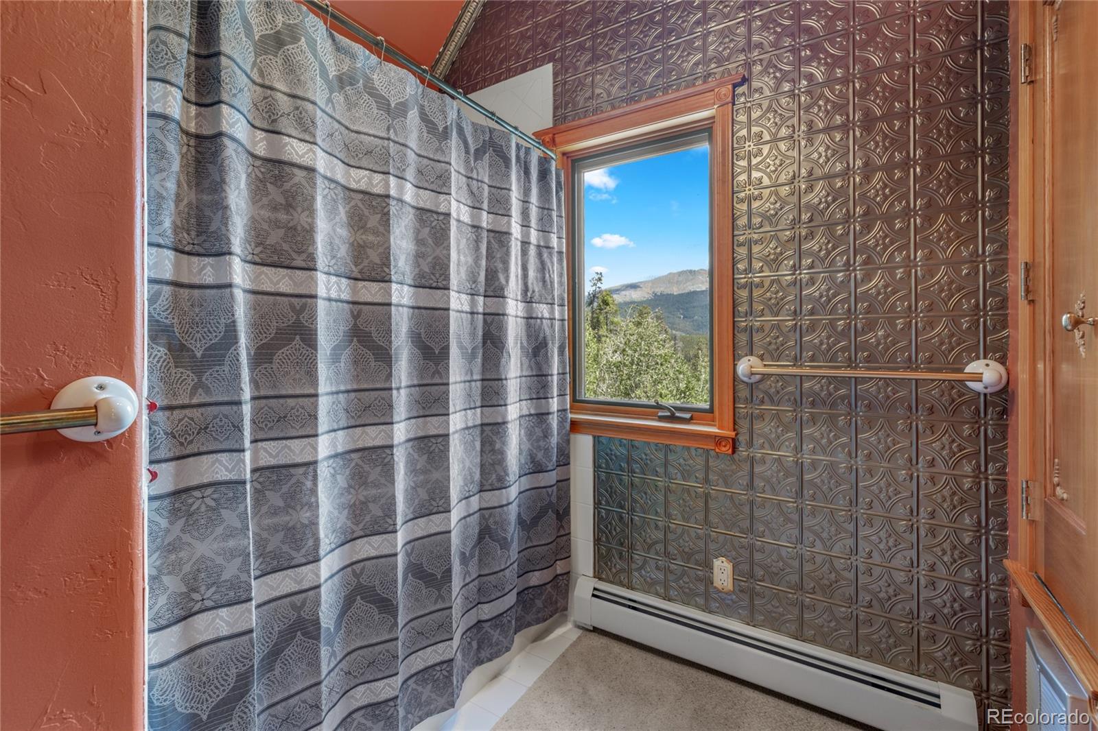 MLS Image #14 for 644  spruce creek road,breckenridge, Colorado