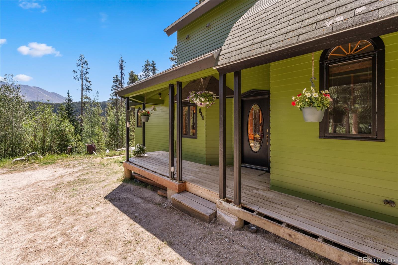 MLS Image #3 for 644  spruce creek road,breckenridge, Colorado