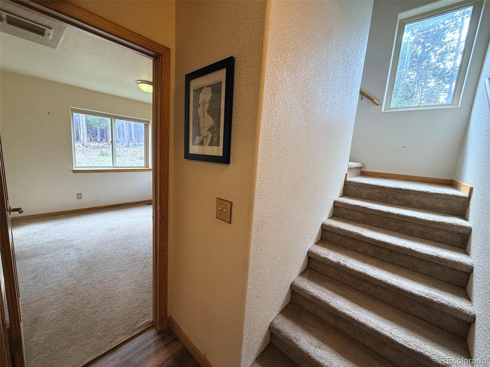 MLS Image #16 for 227  ouray road,evergreen, Colorado