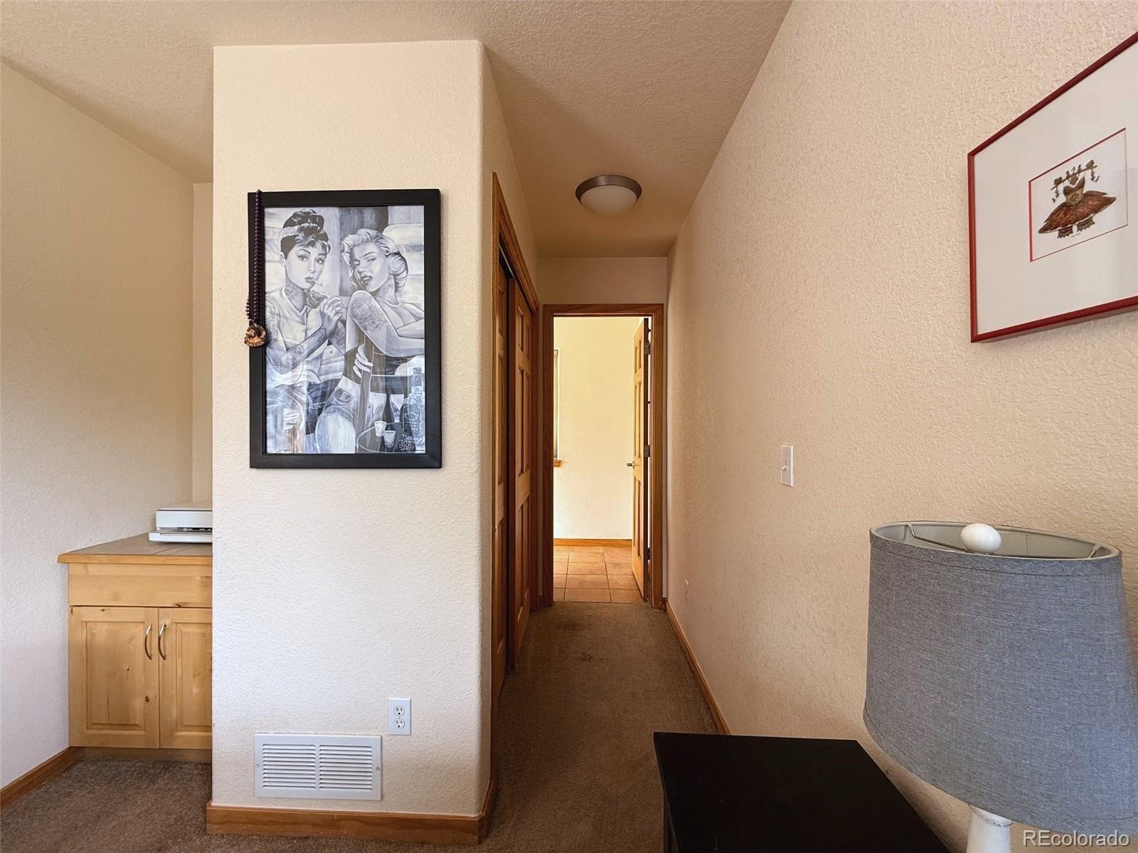 MLS Image #20 for 227  ouray road,evergreen, Colorado