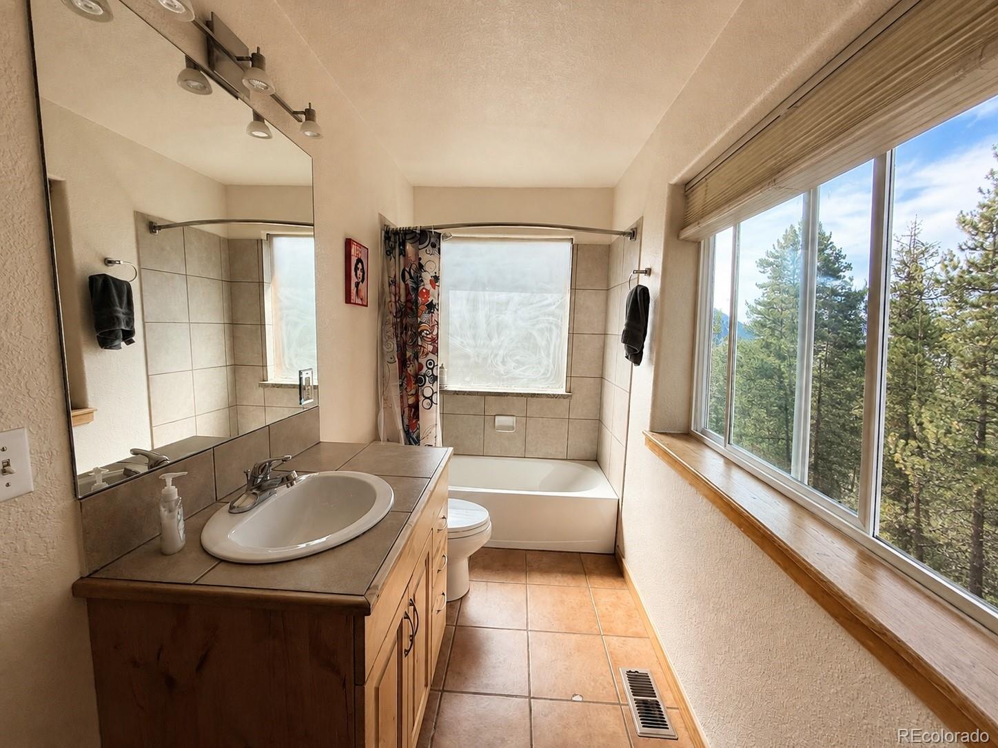 MLS Image #21 for 227  ouray road,evergreen, Colorado