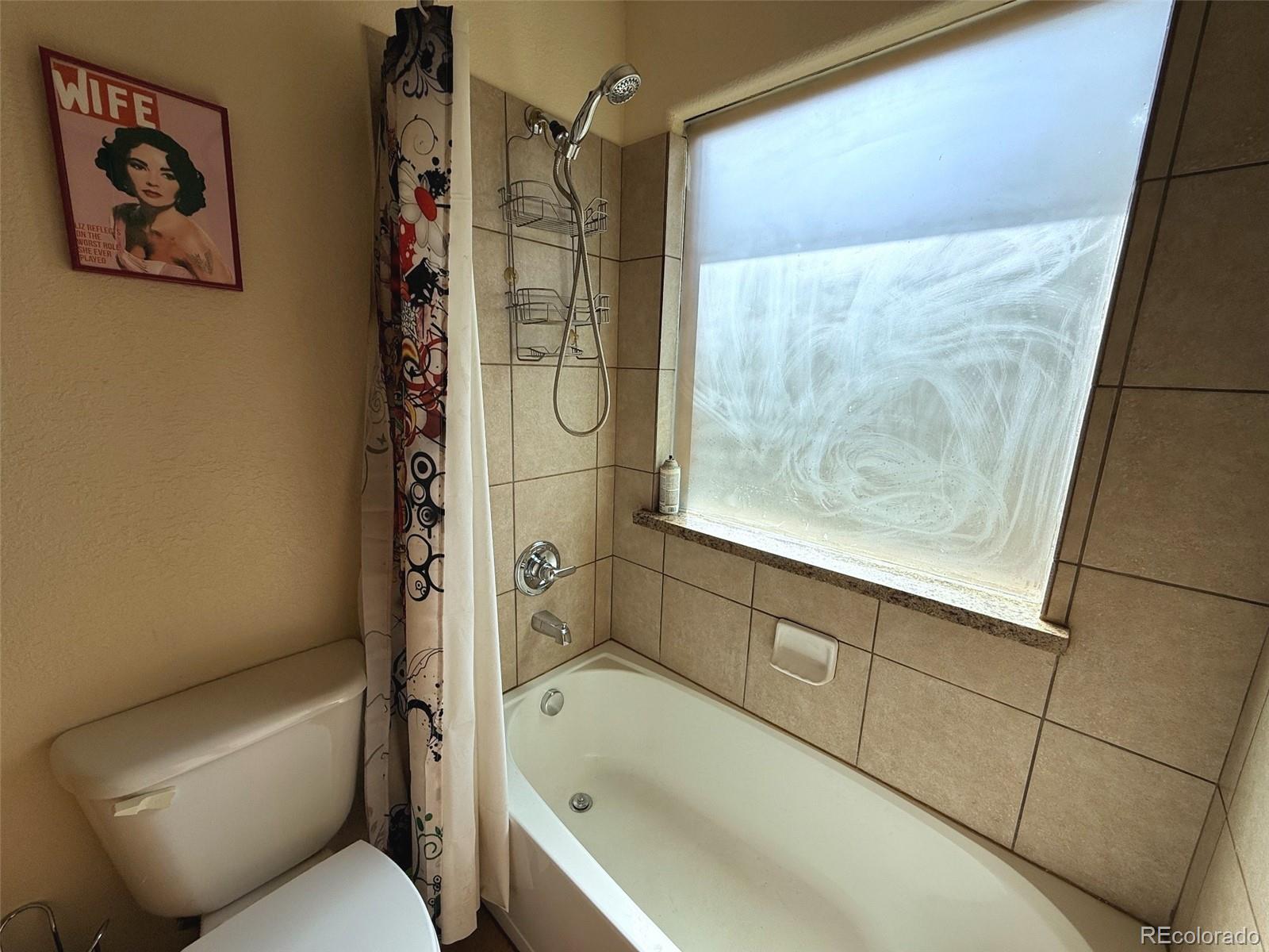 MLS Image #22 for 227  ouray road,evergreen, Colorado
