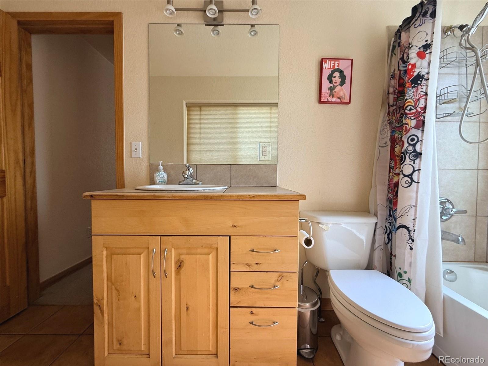 MLS Image #23 for 227  ouray road,evergreen, Colorado