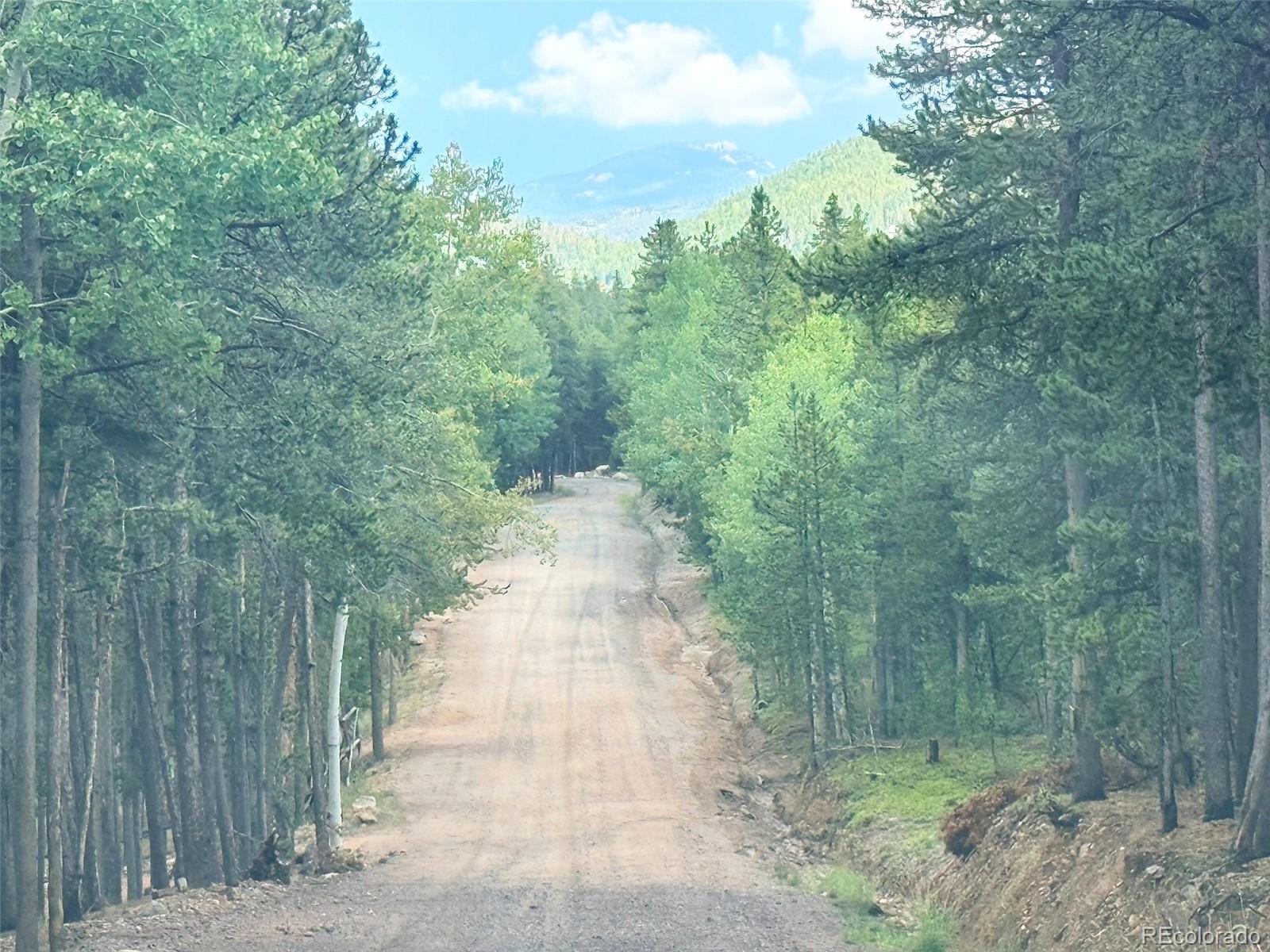 MLS Image #34 for 227  ouray road,evergreen, Colorado