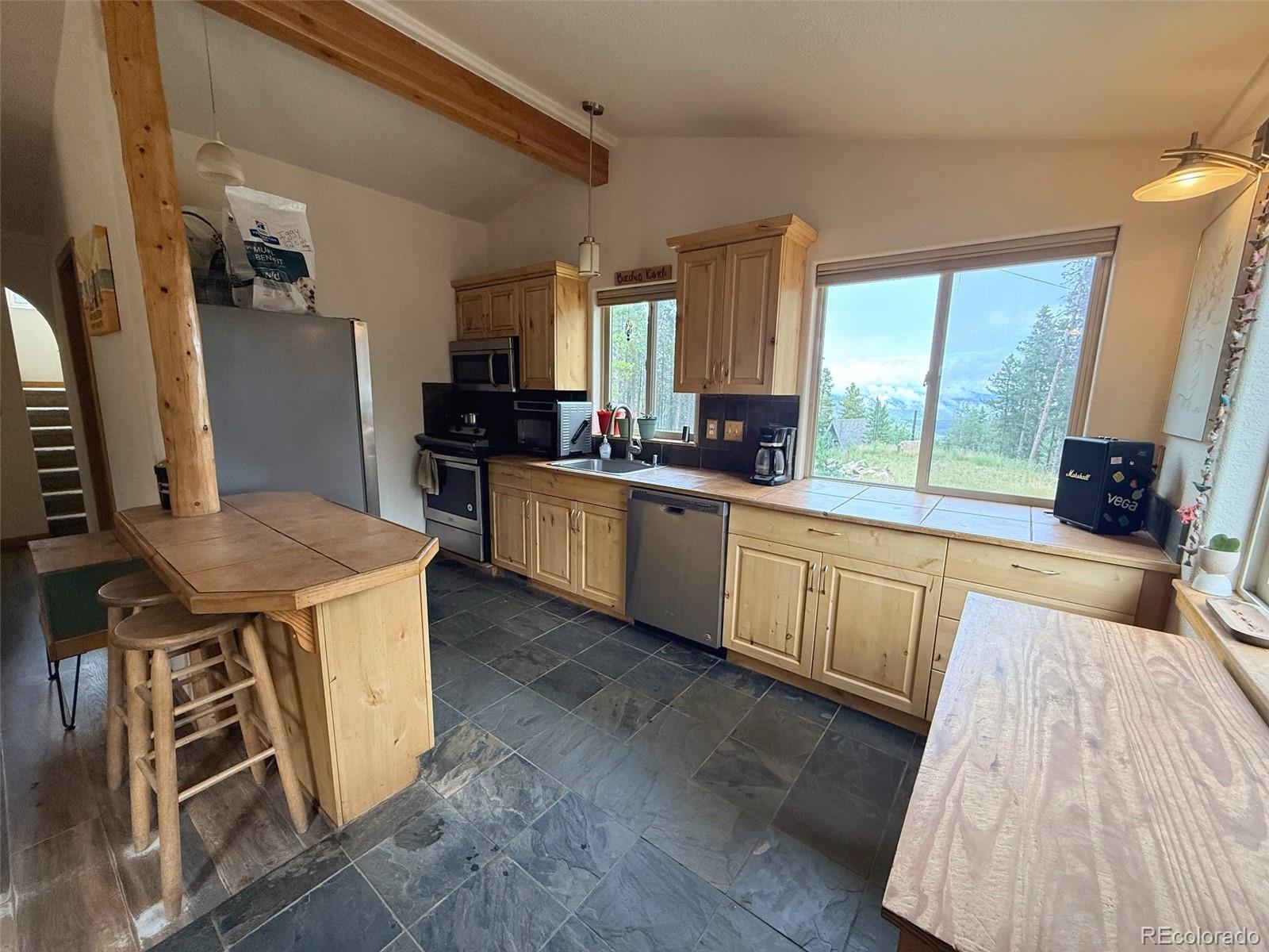 MLS Image #7 for 227  ouray road,evergreen, Colorado