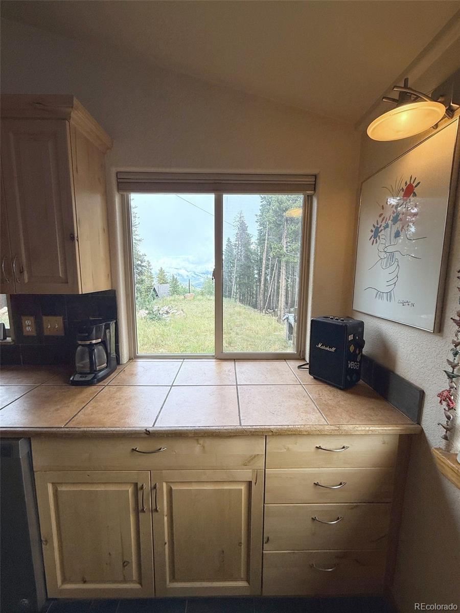 MLS Image #8 for 227  ouray road,evergreen, Colorado