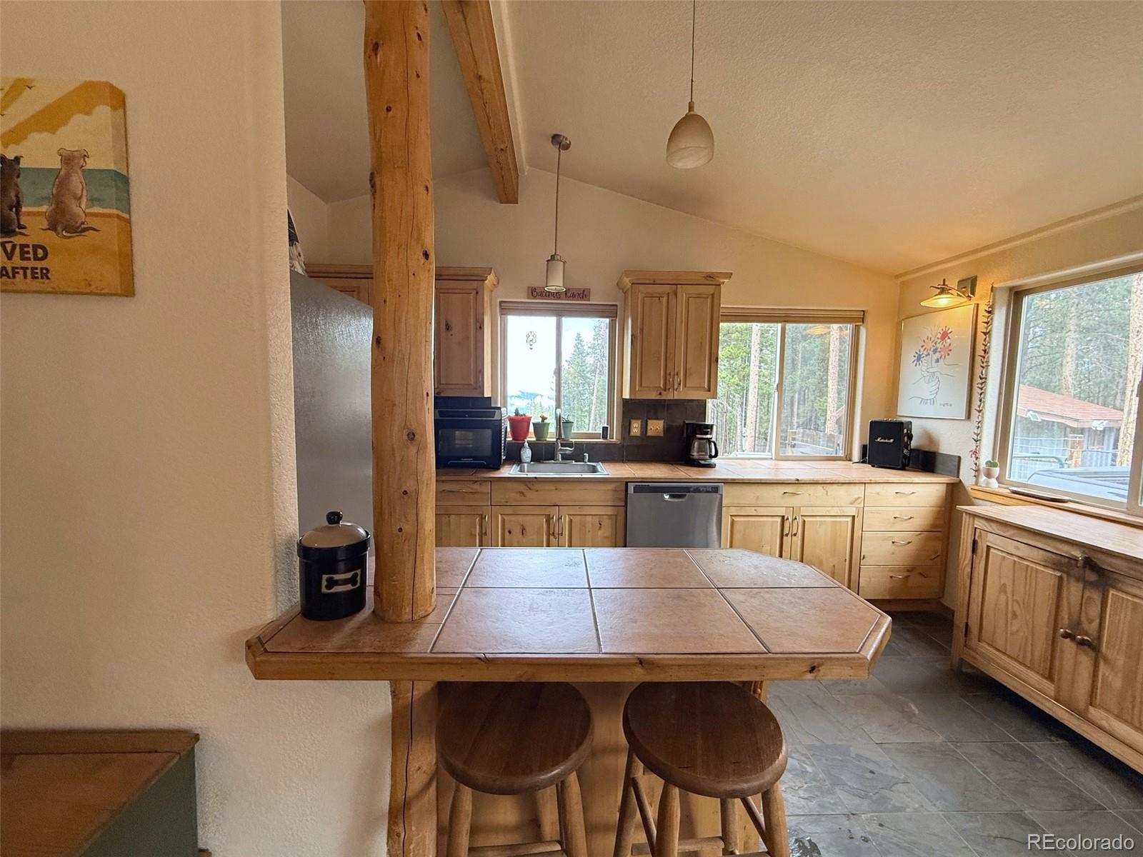 MLS Image #9 for 227  ouray road,evergreen, Colorado