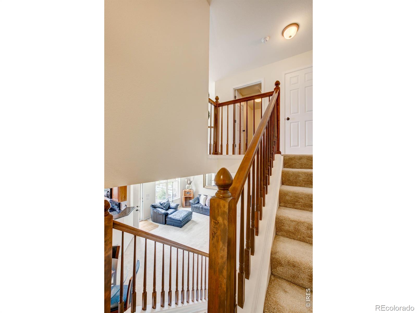 MLS Image #28 for 3150  champion circle,loveland, Colorado