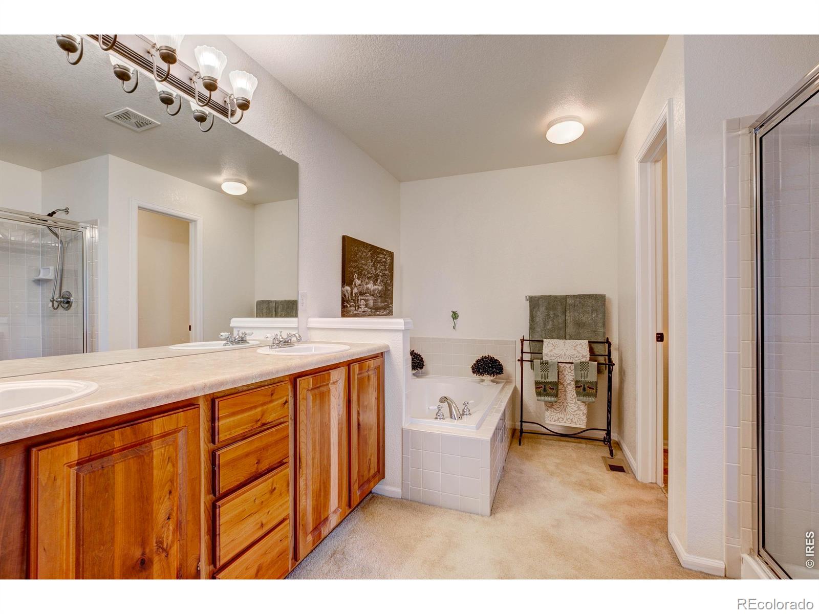 MLS Image #38 for 3150  champion circle,loveland, Colorado