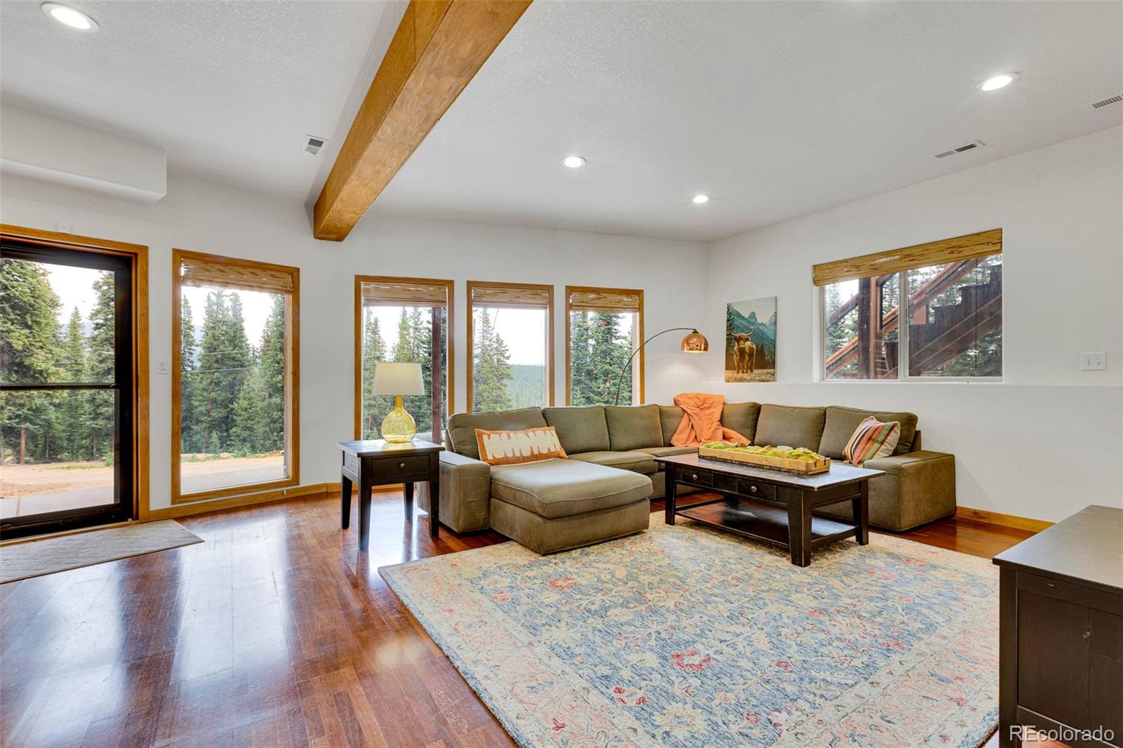 MLS Image #19 for 85  bum drive,fairplay, Colorado