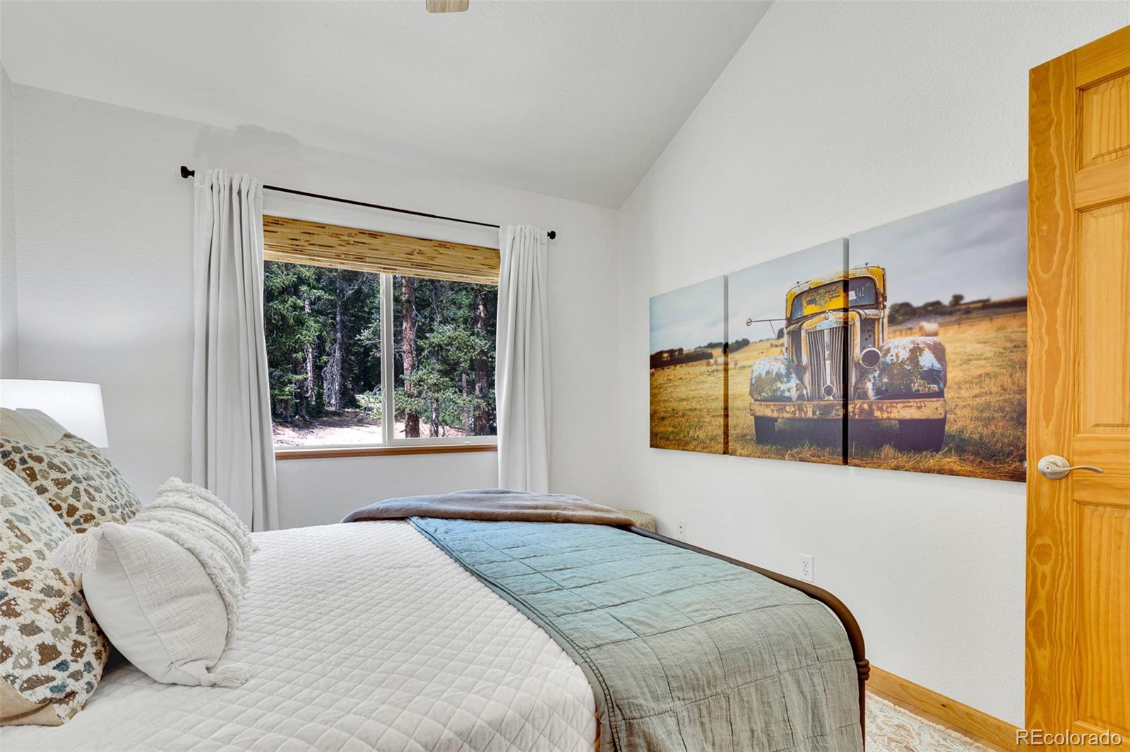 MLS Image #26 for 85  bum drive,fairplay, Colorado