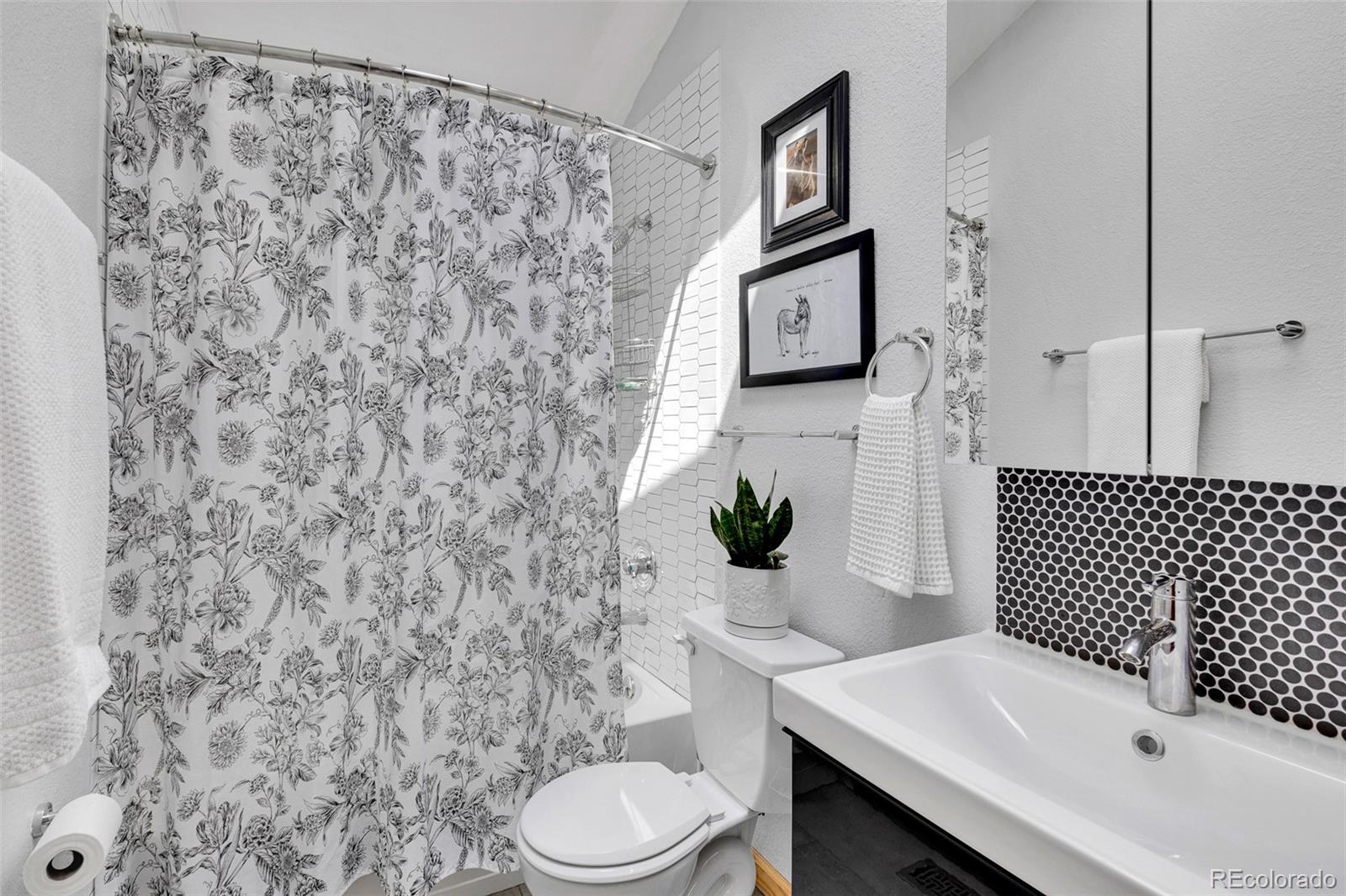 MLS Image #28 for 85  bum drive,fairplay, Colorado