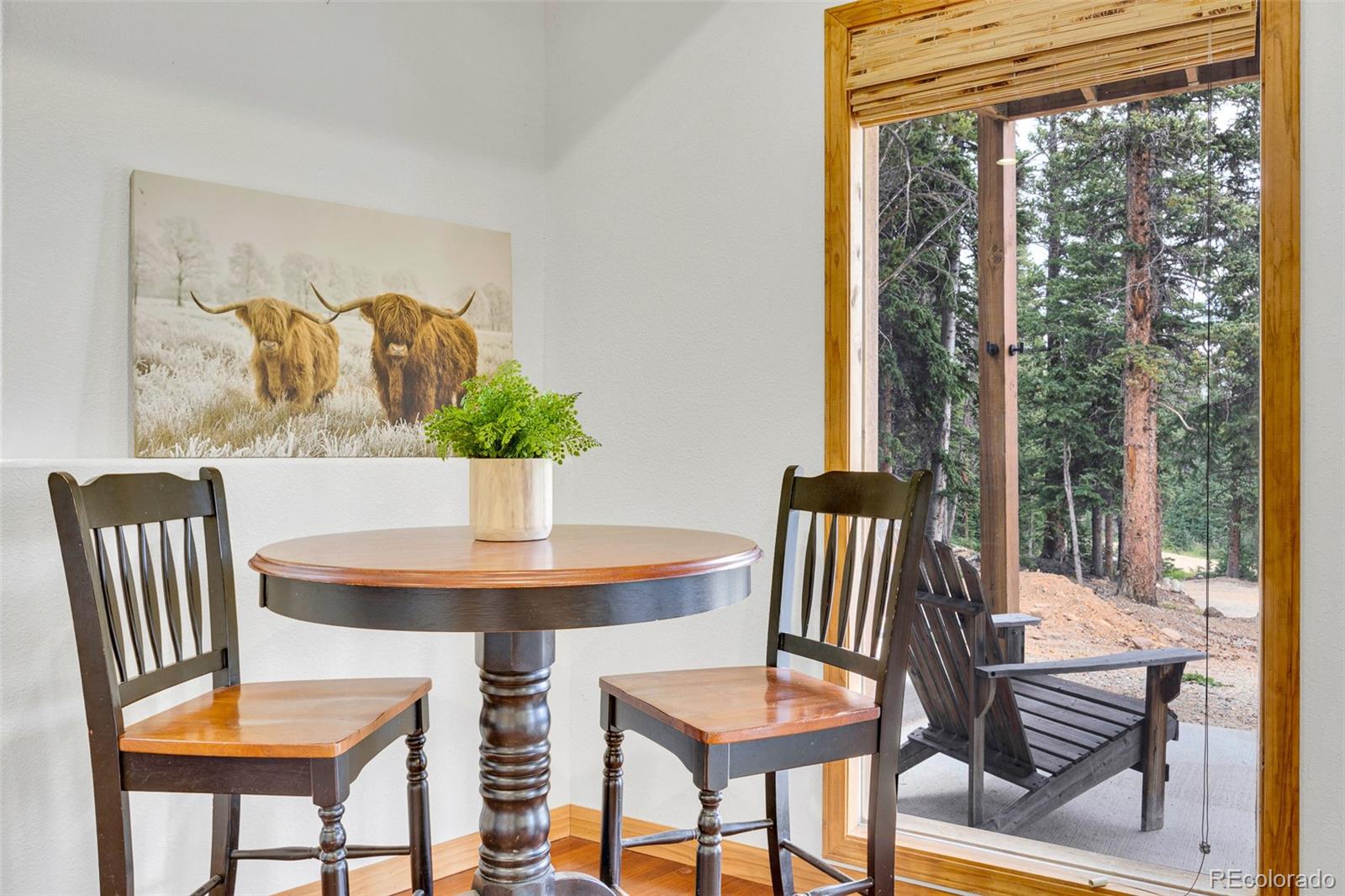 MLS Image #31 for 85  bum drive,fairplay, Colorado