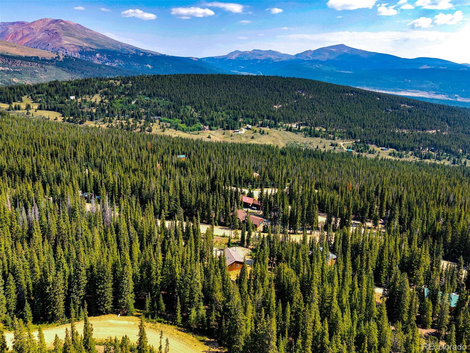 MLS Image #32 for 85  bum drive,fairplay, Colorado