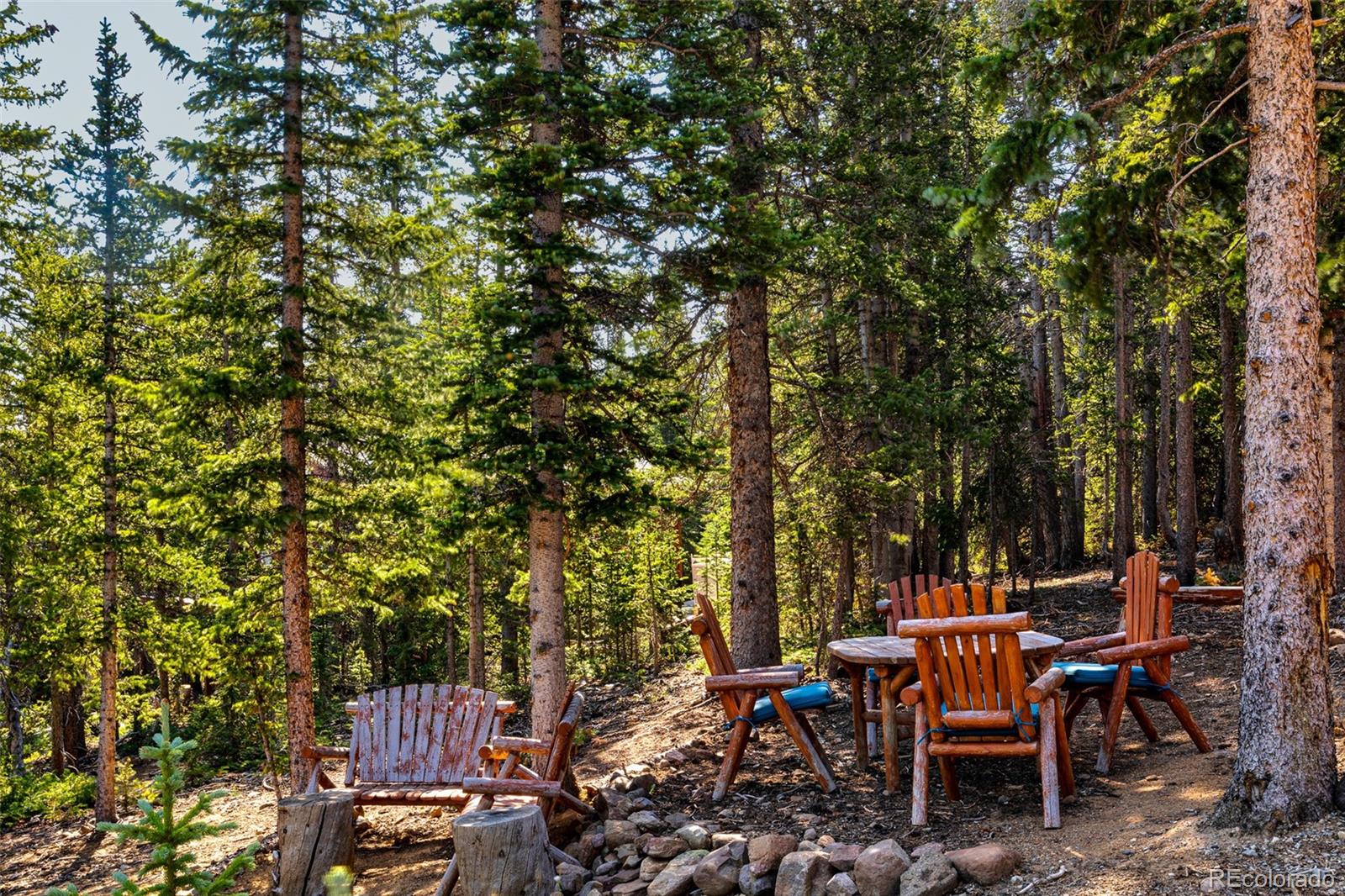 MLS Image #39 for 85  bum drive,fairplay, Colorado
