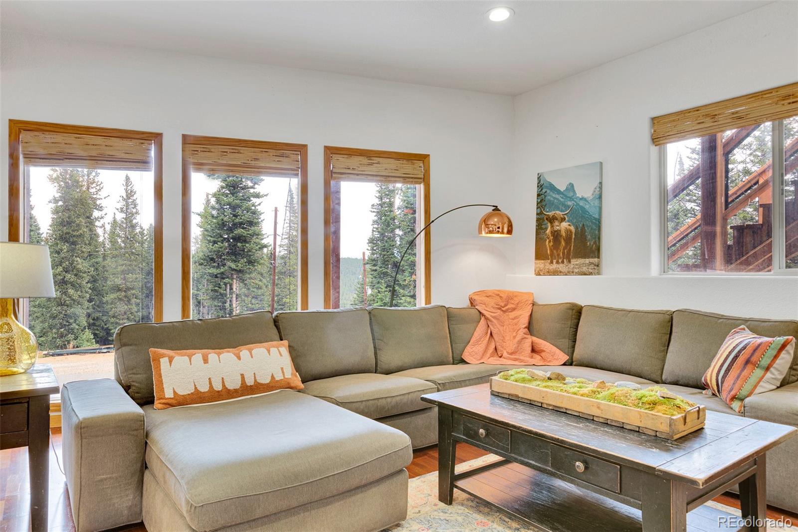 MLS Image #43 for 85  bum drive,fairplay, Colorado