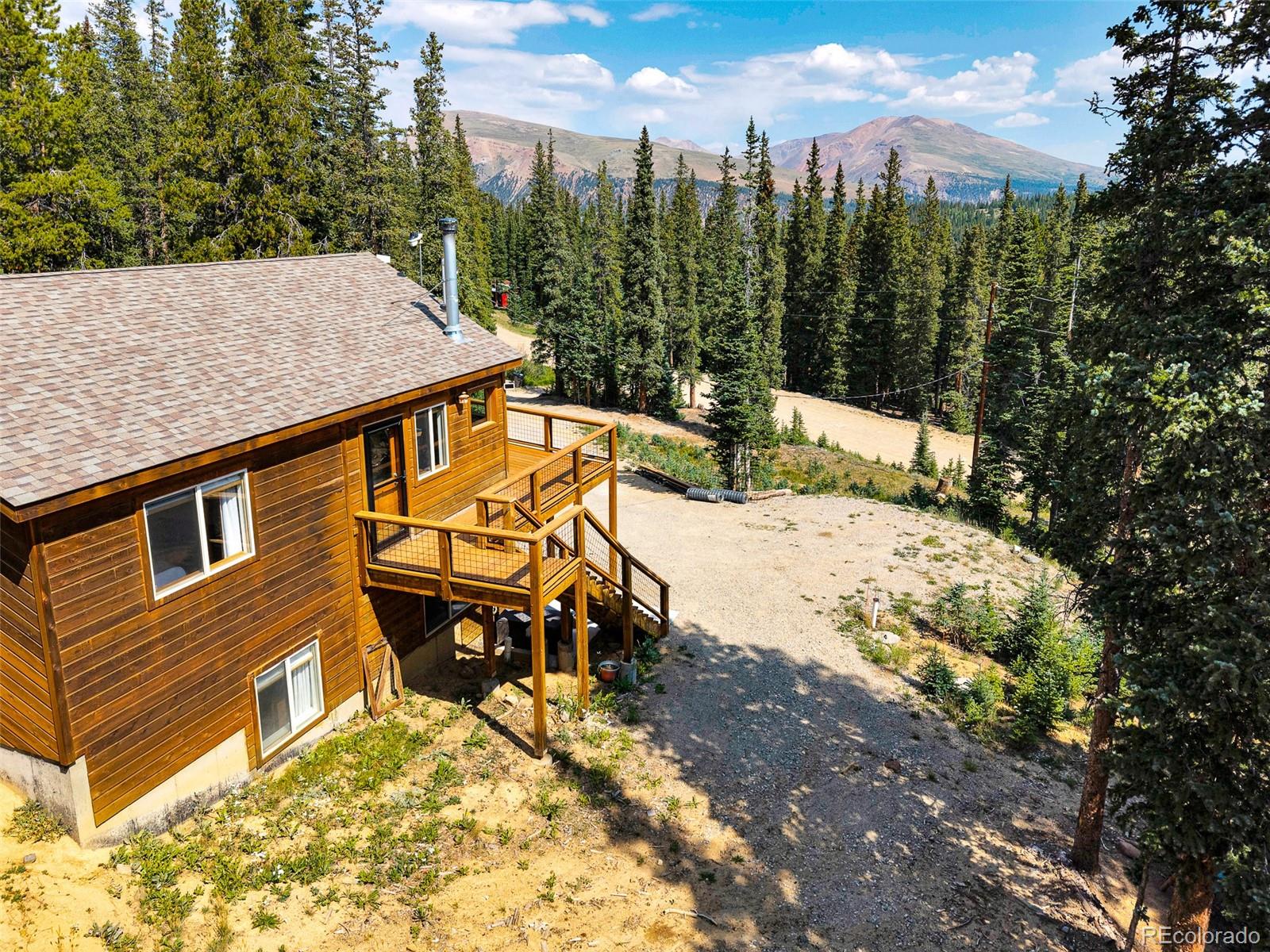 MLS Image #6 for 85  bum drive,fairplay, Colorado