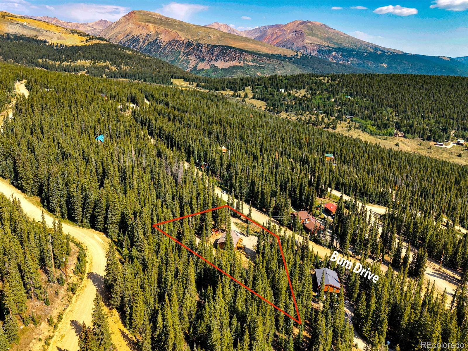 MLS Image #7 for 85  bum drive,fairplay, Colorado