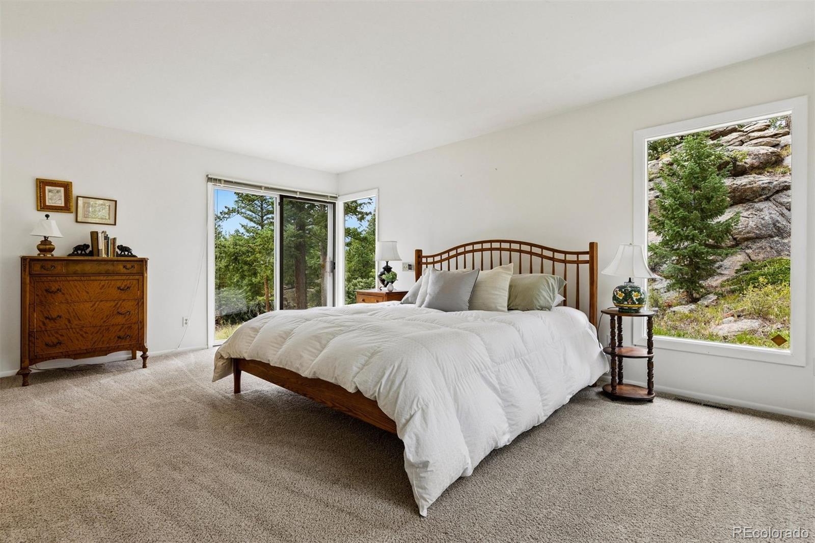 MLS Image #8 for 5129 s elk ridge road,evergreen, Colorado