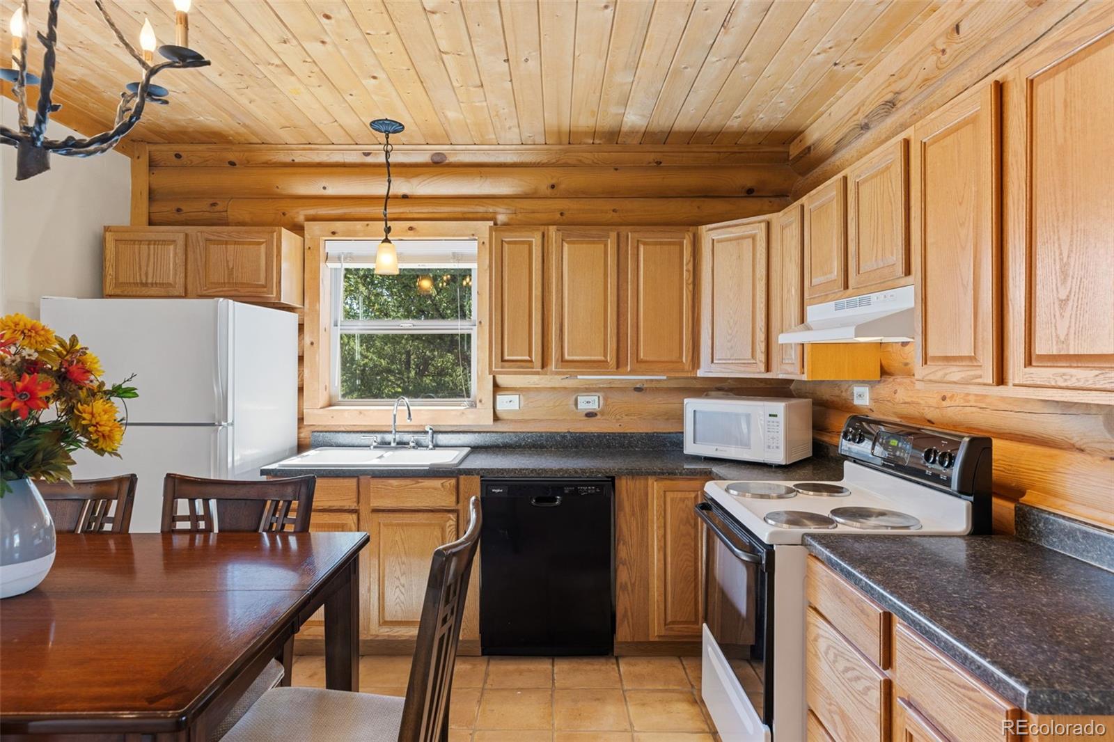 MLS Image #11 for 167  stellar jay way,fairplay, Colorado