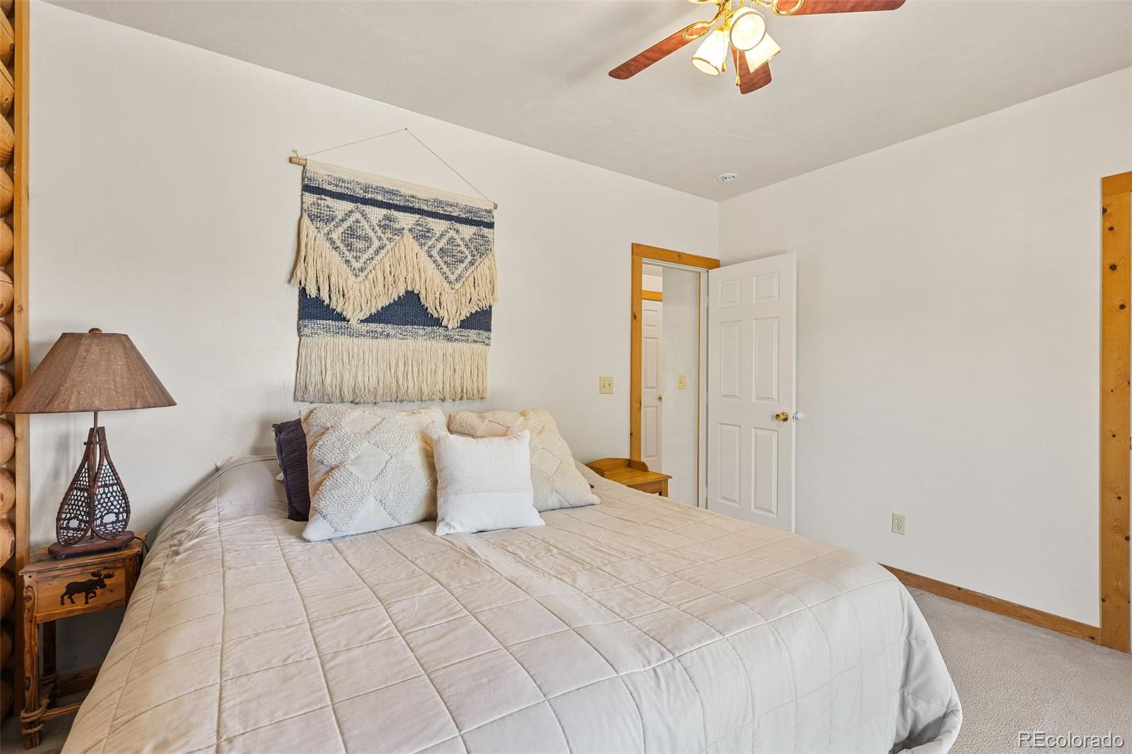 MLS Image #20 for 167  stellar jay way,fairplay, Colorado