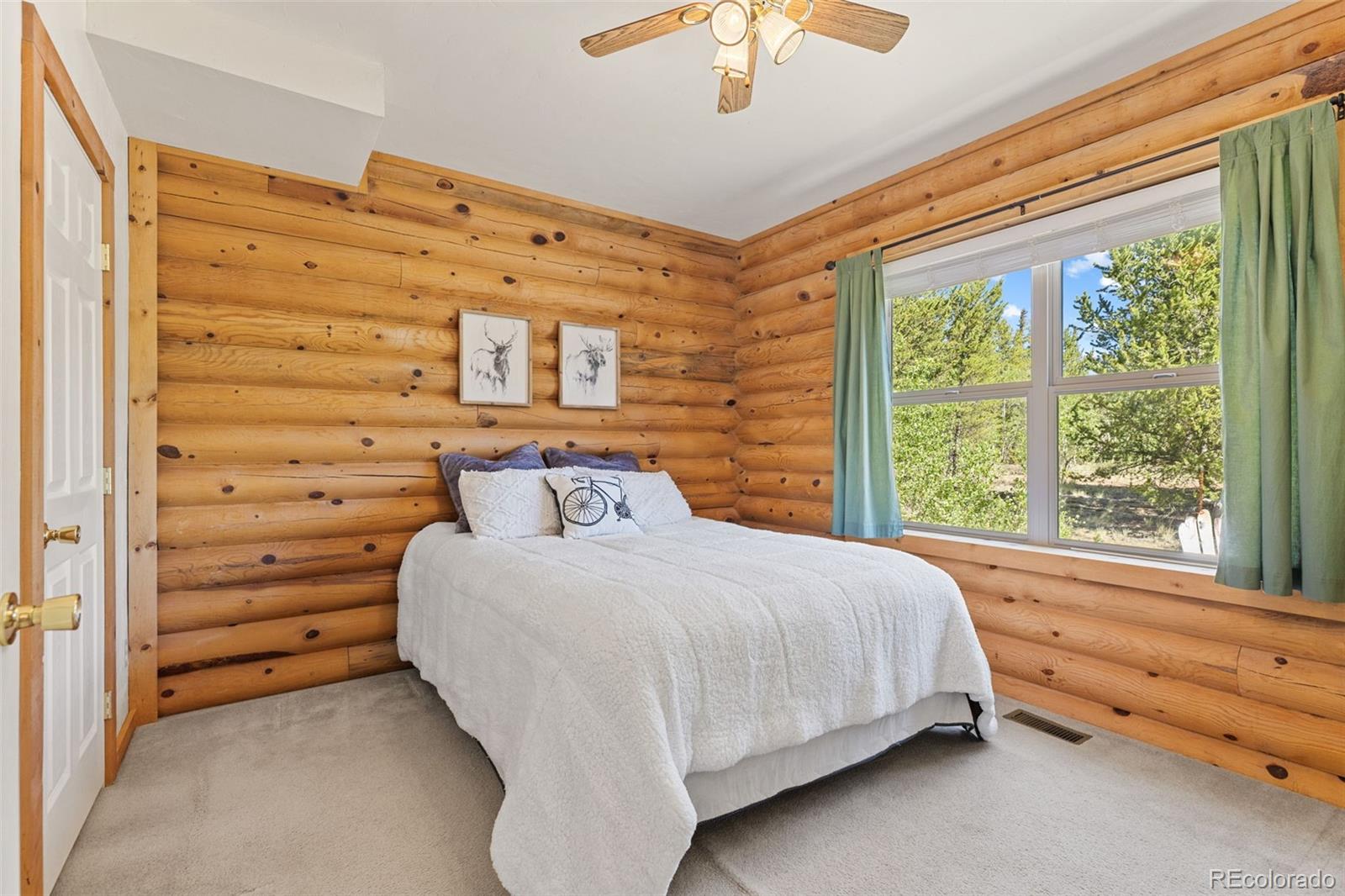 MLS Image #24 for 167  stellar jay way,fairplay, Colorado