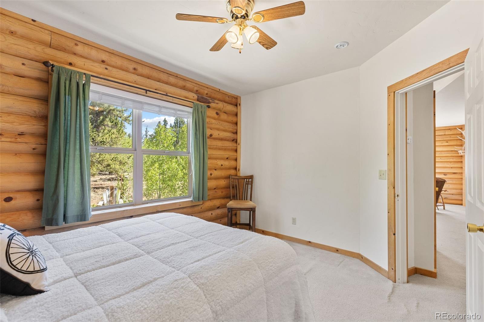 MLS Image #25 for 167  stellar jay way,fairplay, Colorado