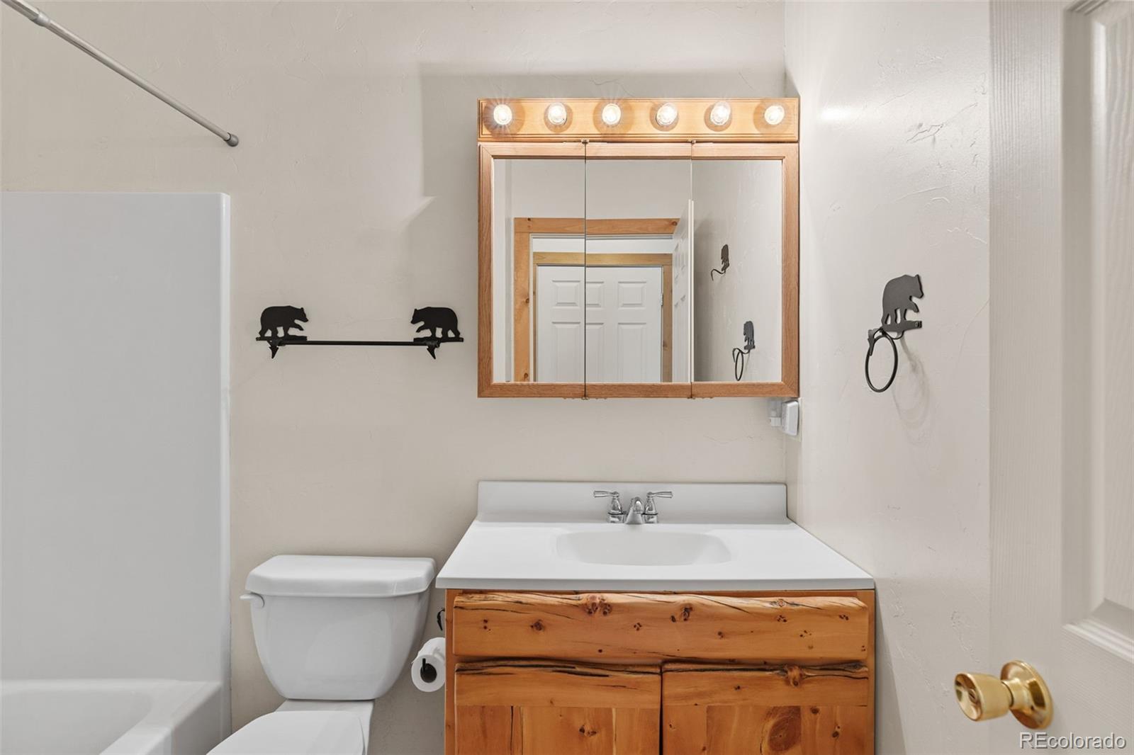 MLS Image #26 for 167  stellar jay way,fairplay, Colorado