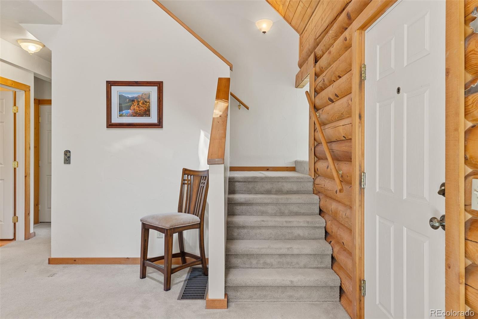 MLS Image #28 for 167  stellar jay way,fairplay, Colorado