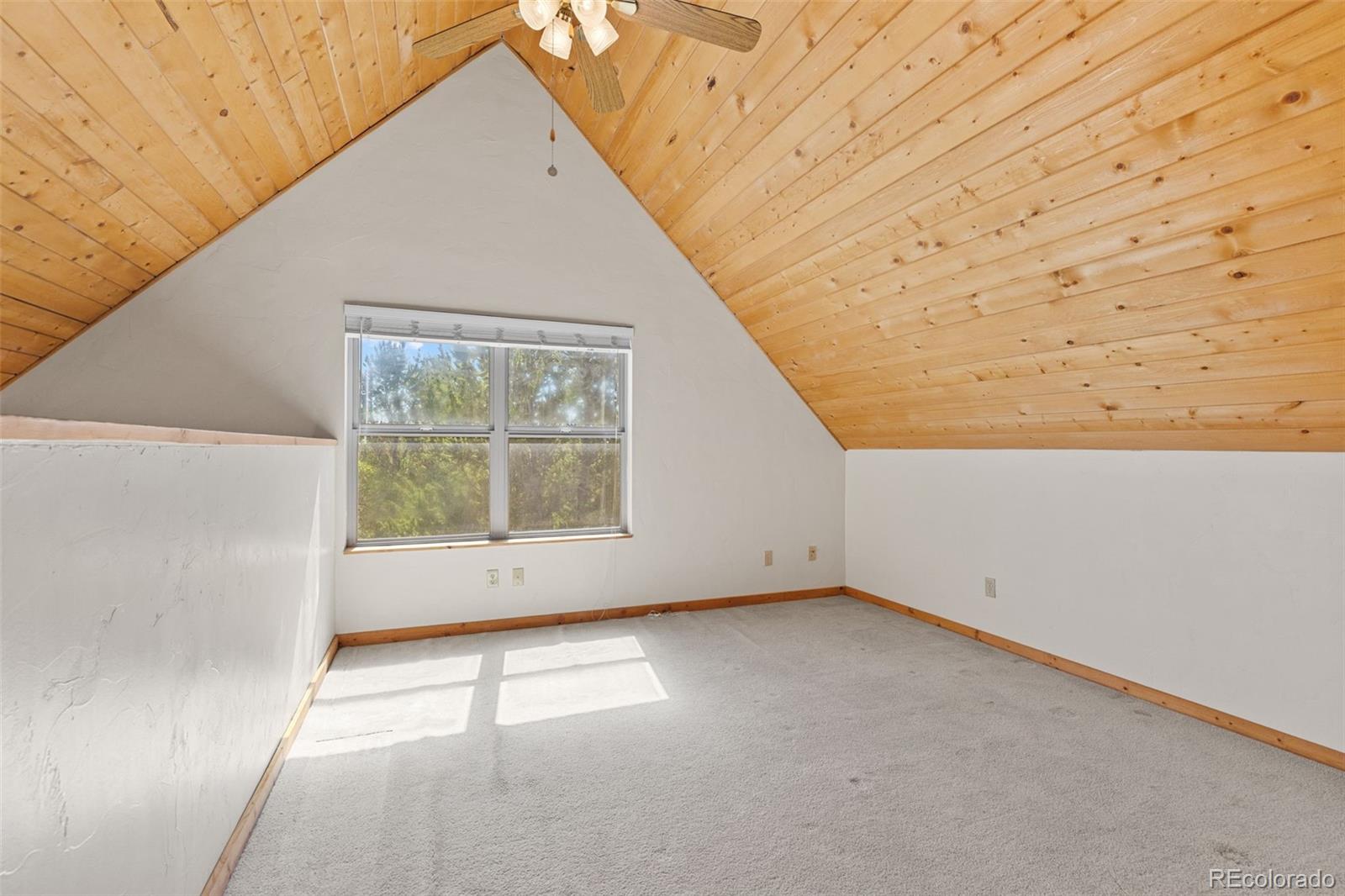 MLS Image #30 for 167  stellar jay way,fairplay, Colorado