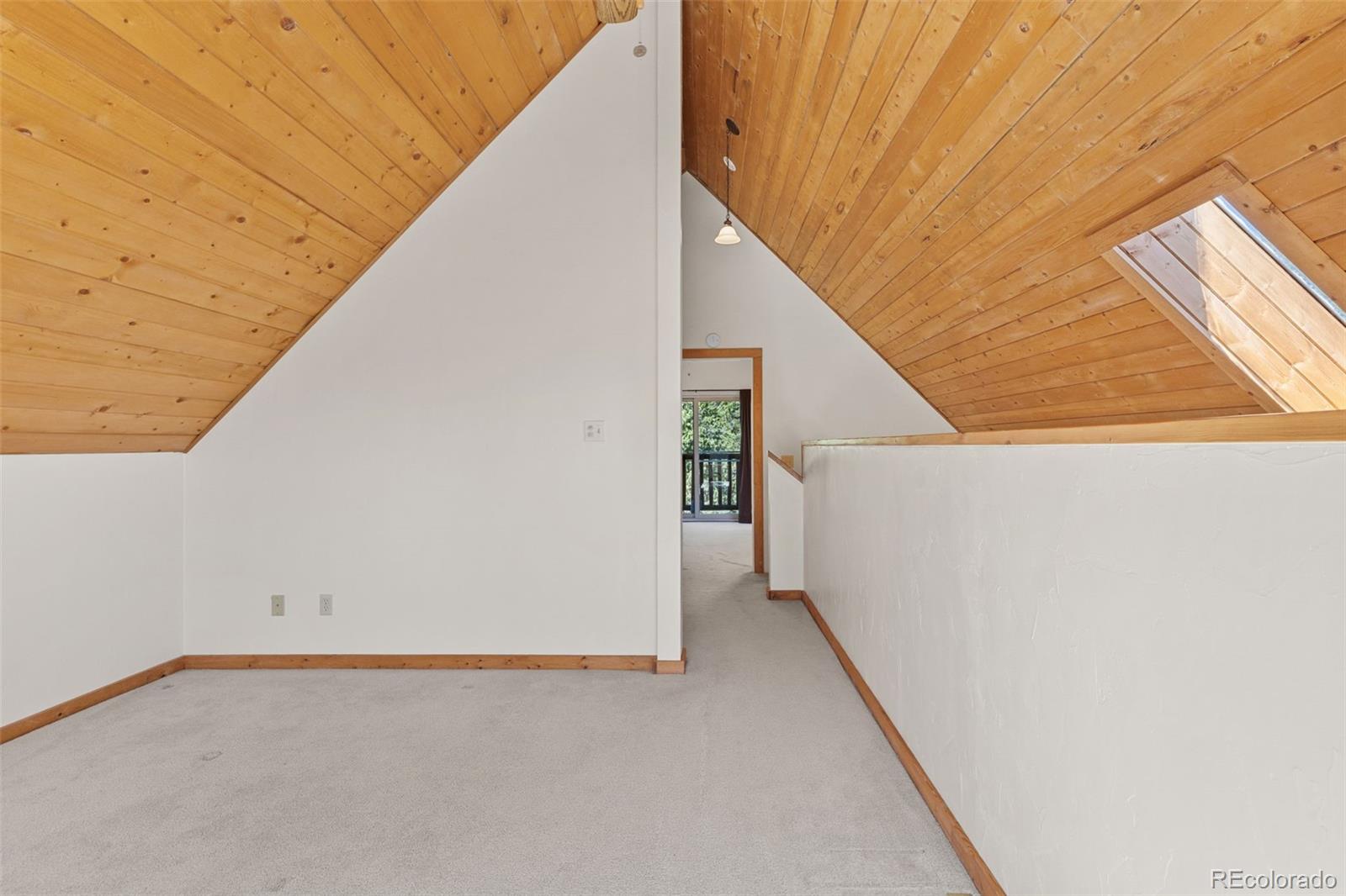 MLS Image #31 for 167  stellar jay way,fairplay, Colorado