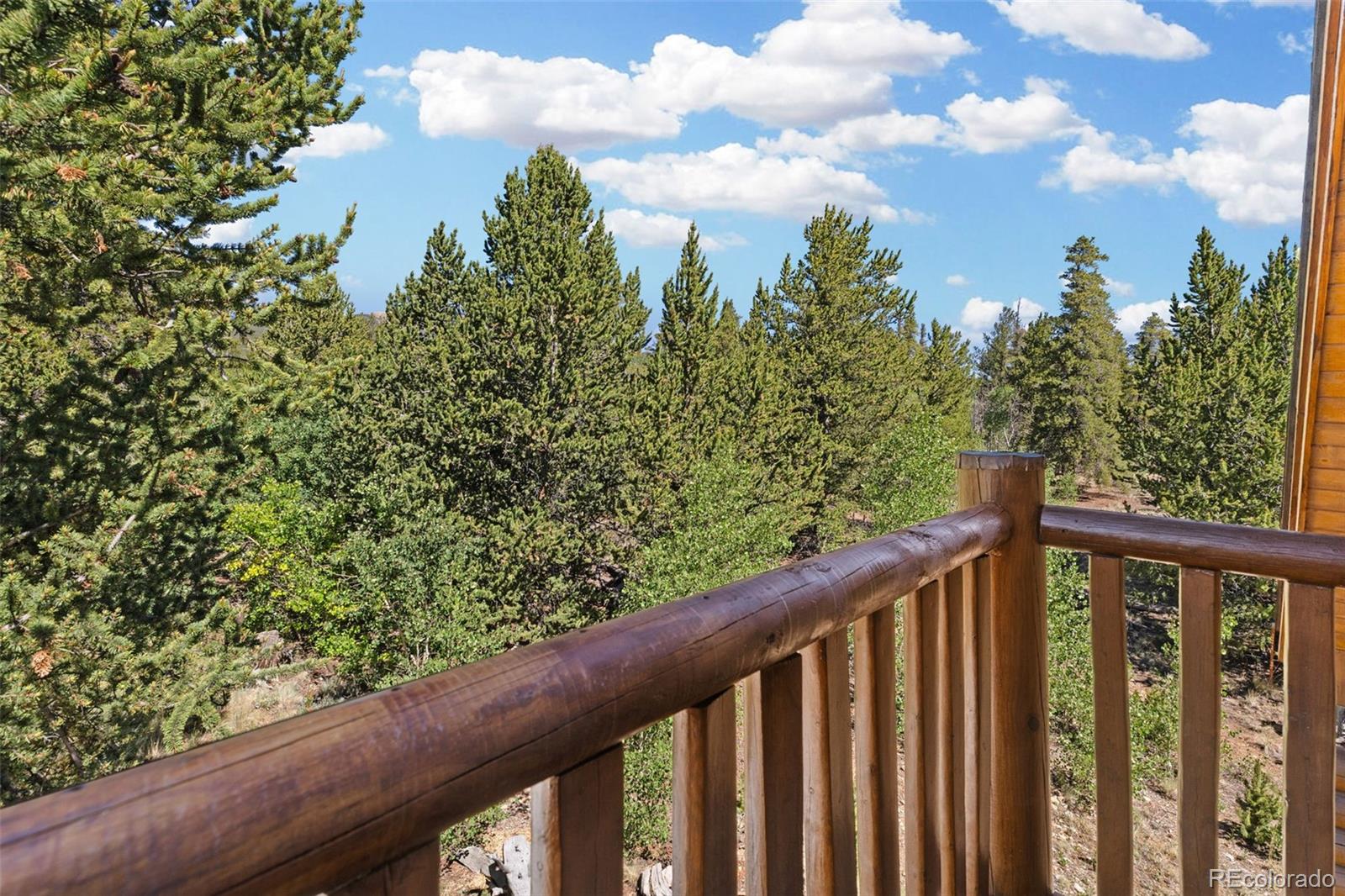 MLS Image #33 for 167  stellar jay way,fairplay, Colorado
