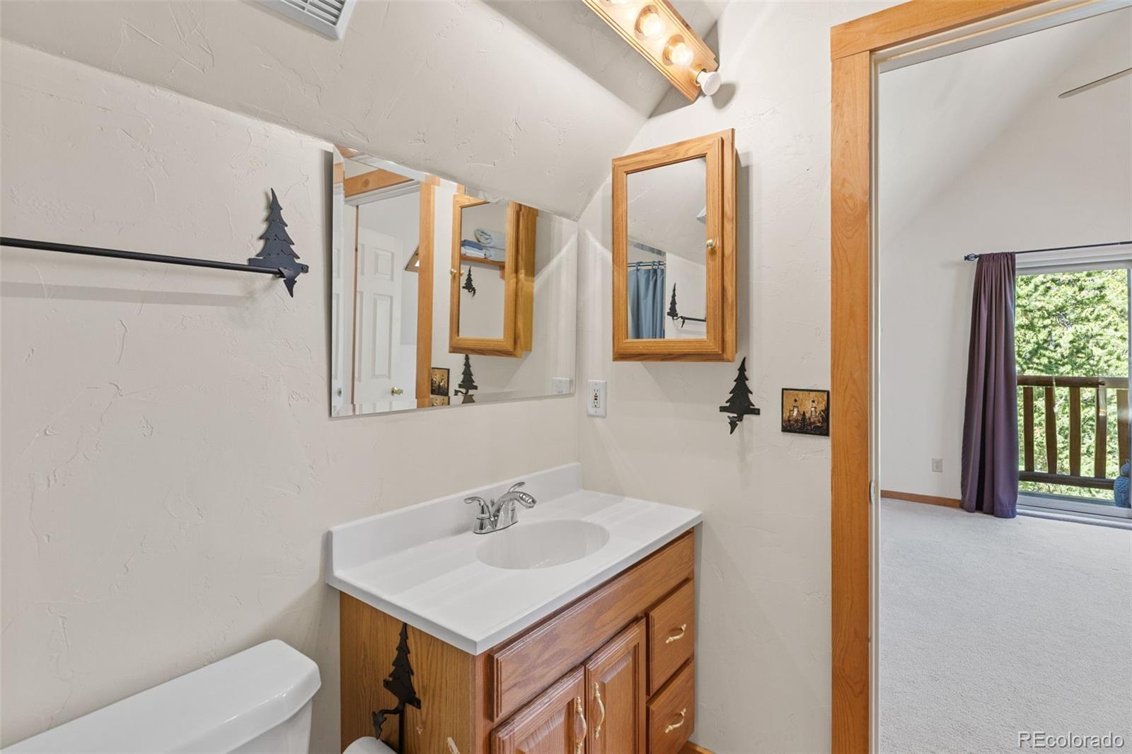 MLS Image #37 for 167  stellar jay way,fairplay, Colorado